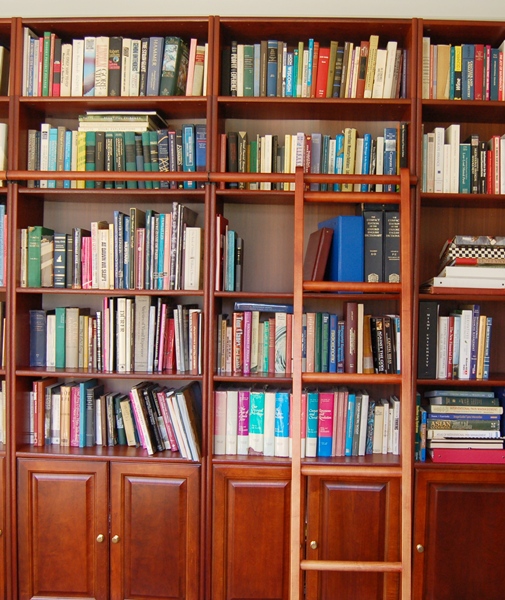 Office Library Wall Unit With Rolling Ladder