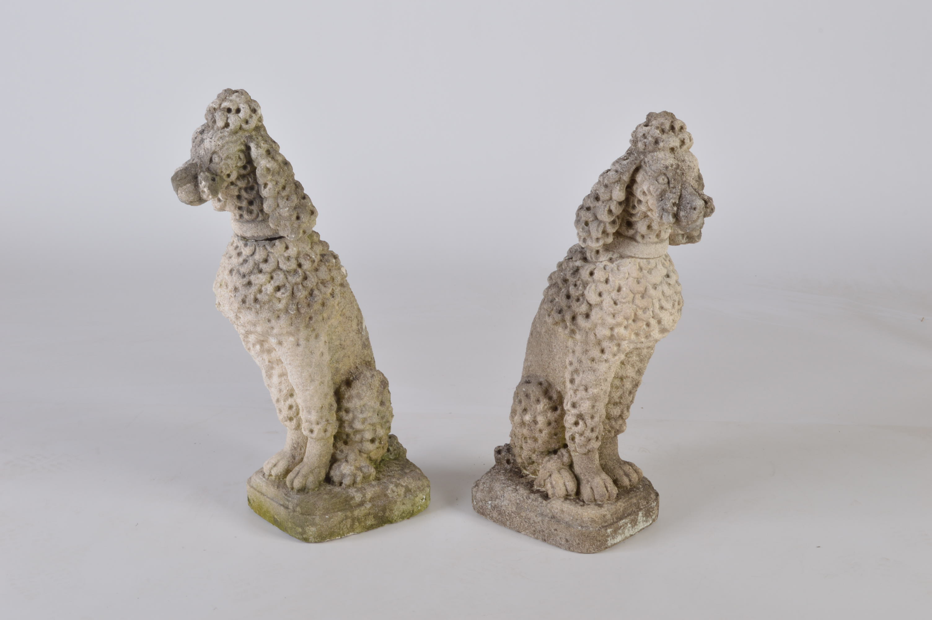 Pair of Vintage Cement Poodles with Round Plinths 