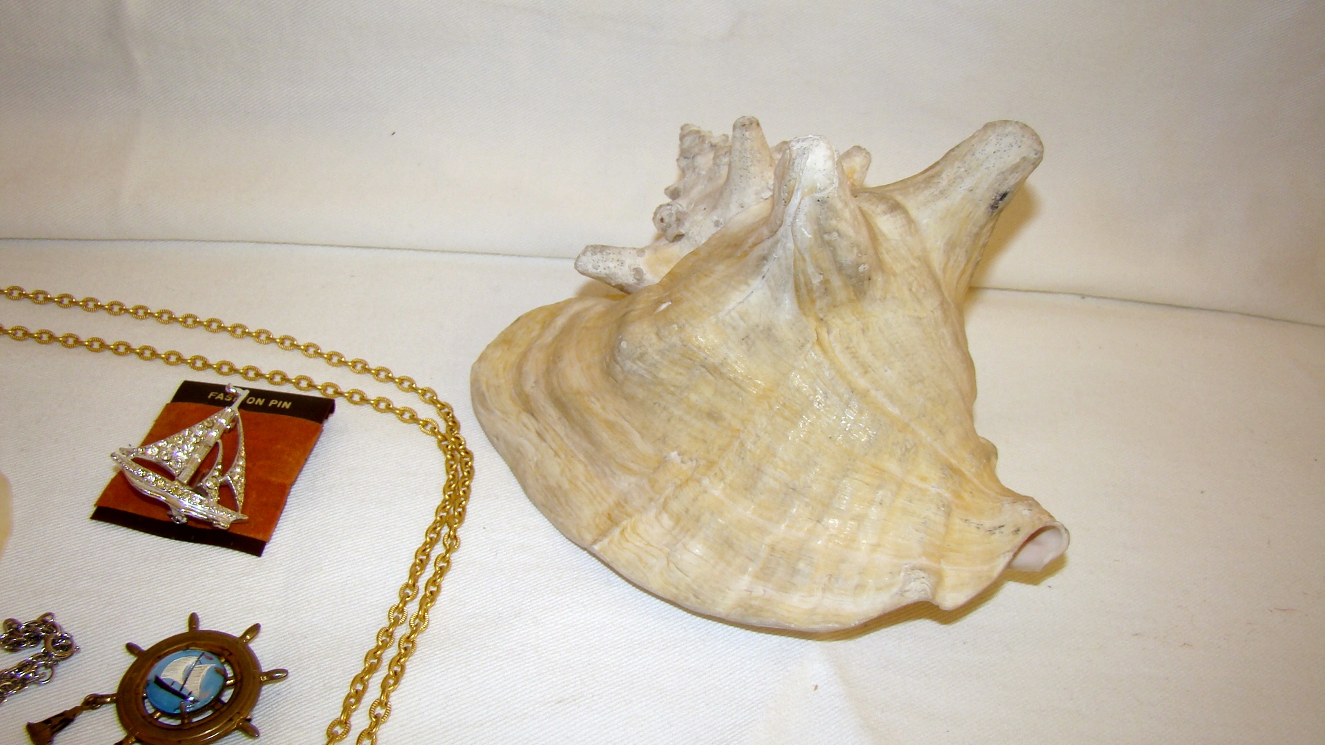 Nautical Jewelry and Shell Collection