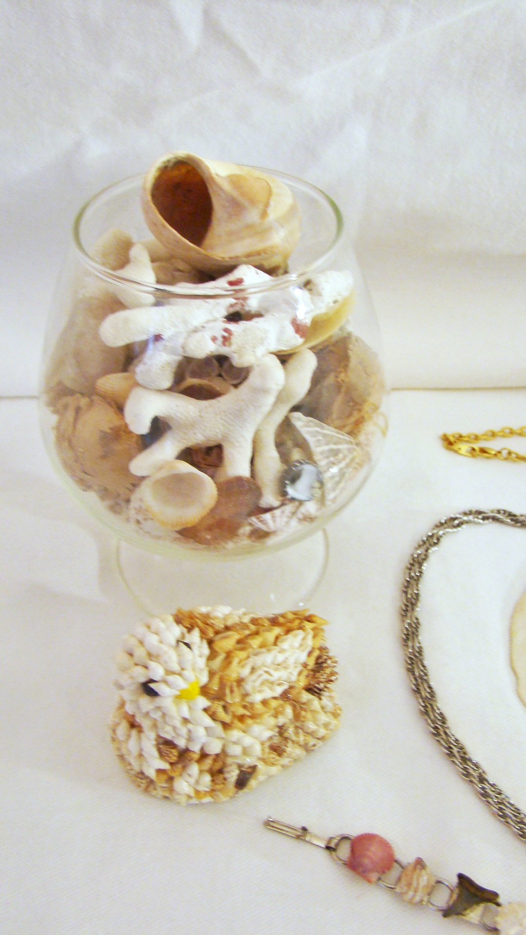 Nautical Jewelry and Shell Collection