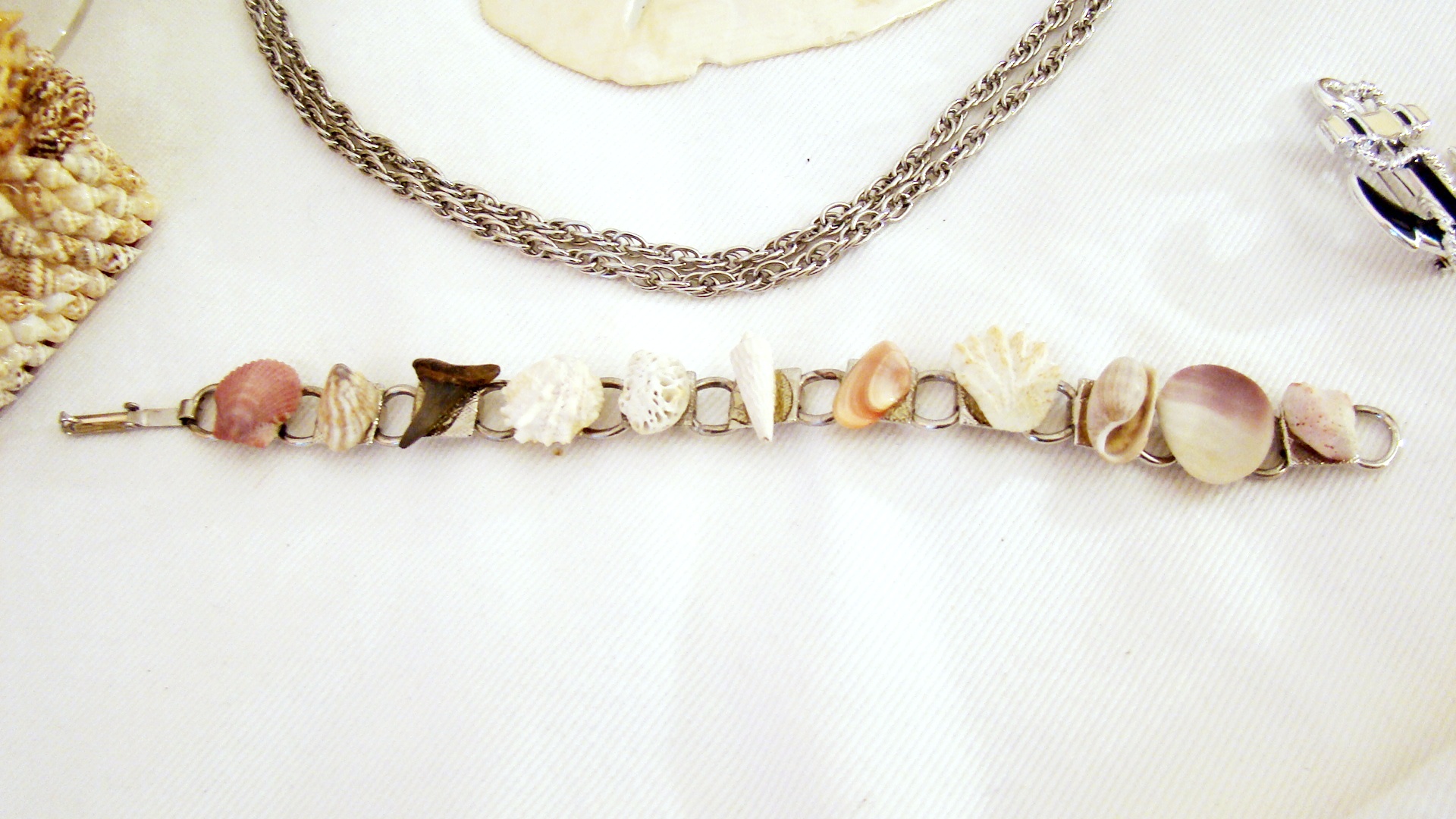 Nautical Jewelry and Shell Collection