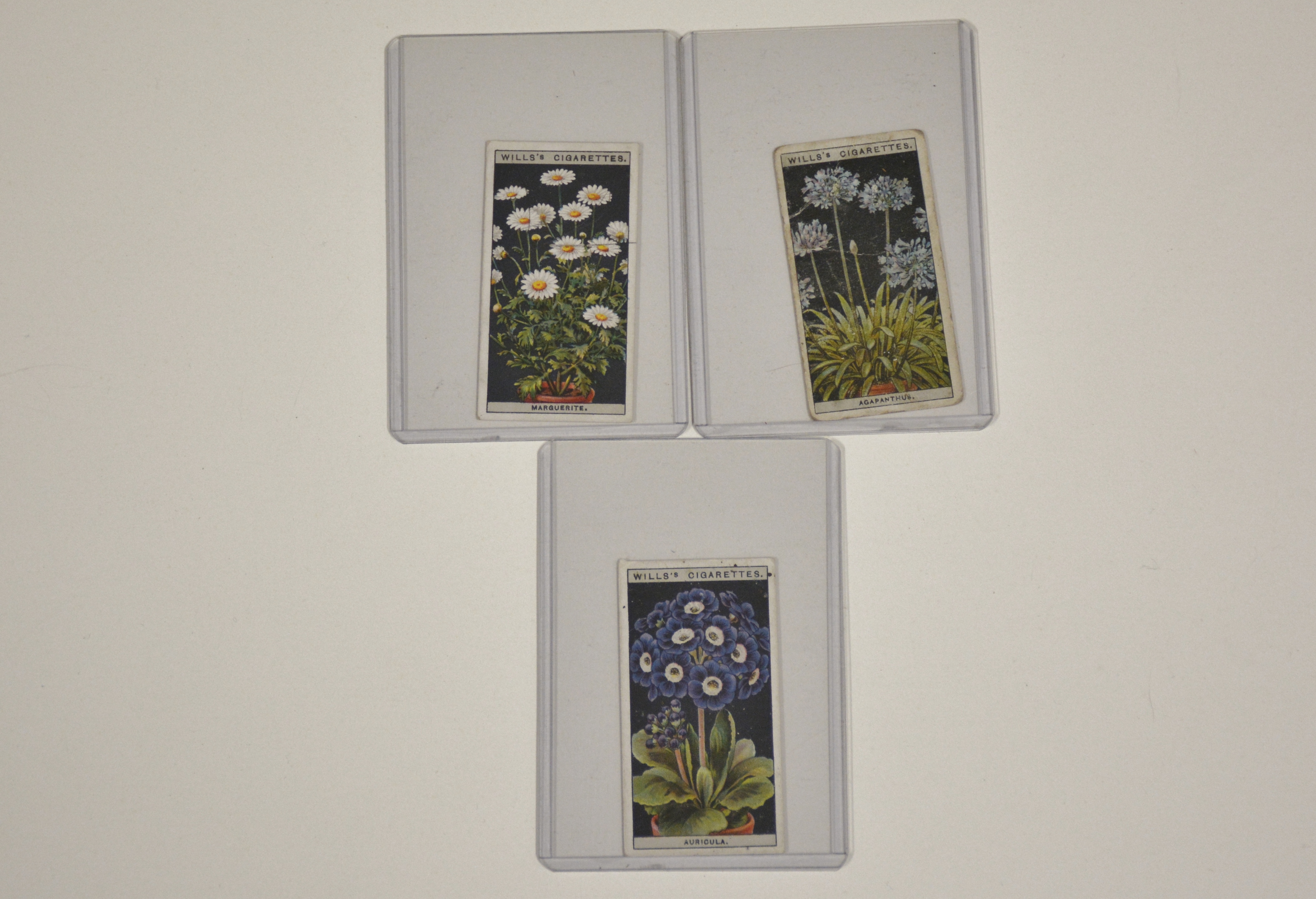 Vintage Paper Ephemera Lot 