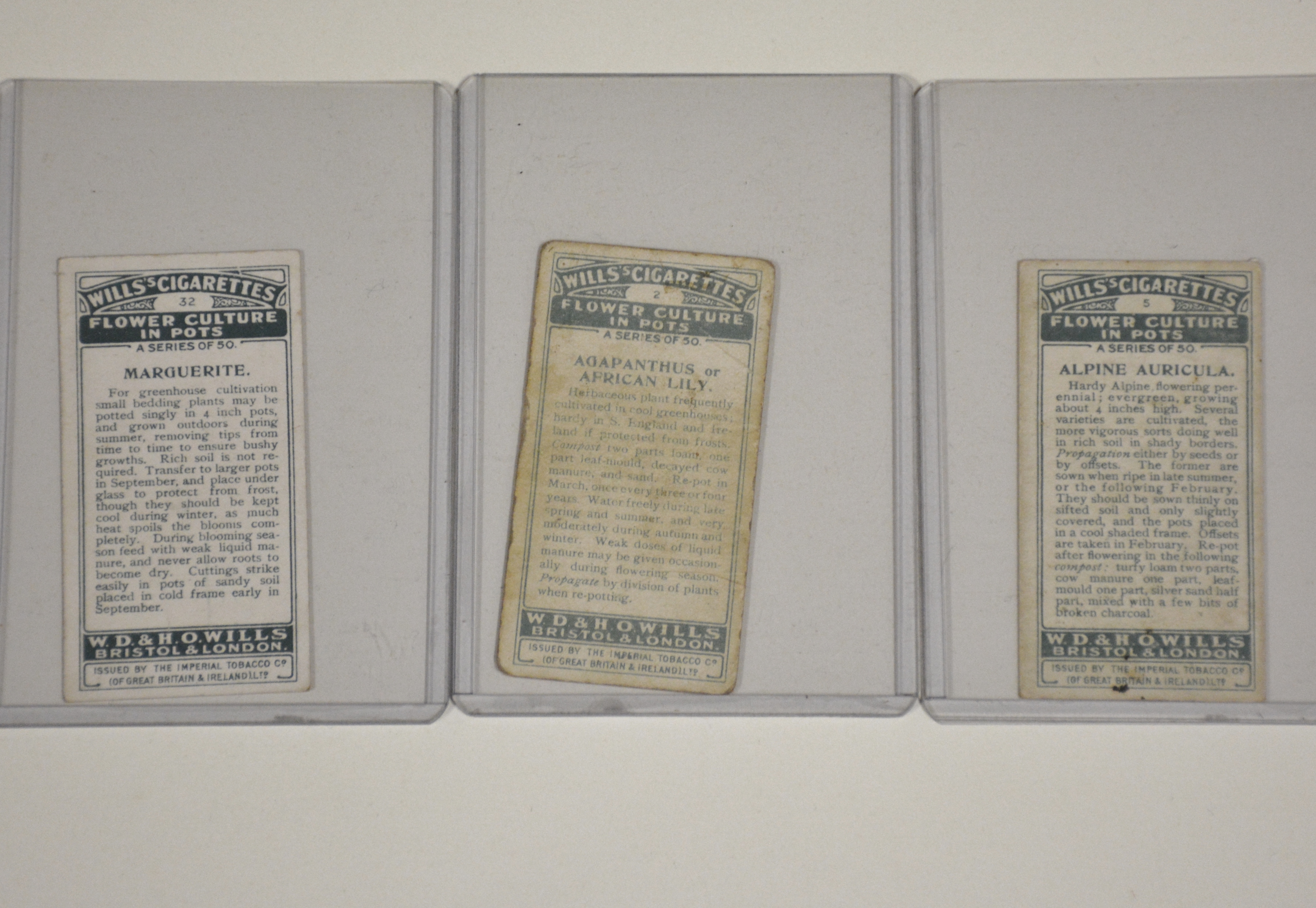 Vintage Paper Ephemera Lot 