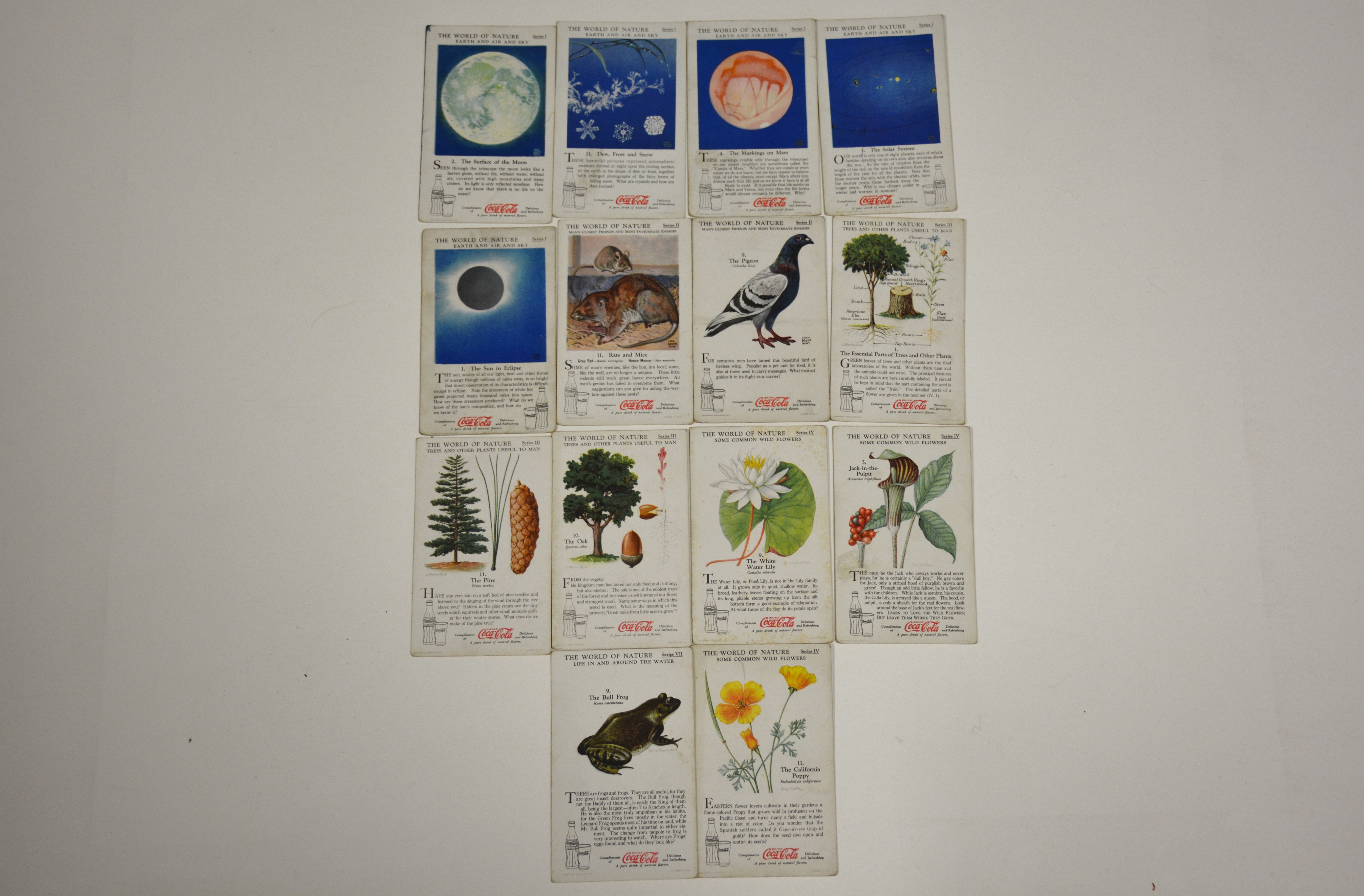 Vintage Paper Ephemera Lot 