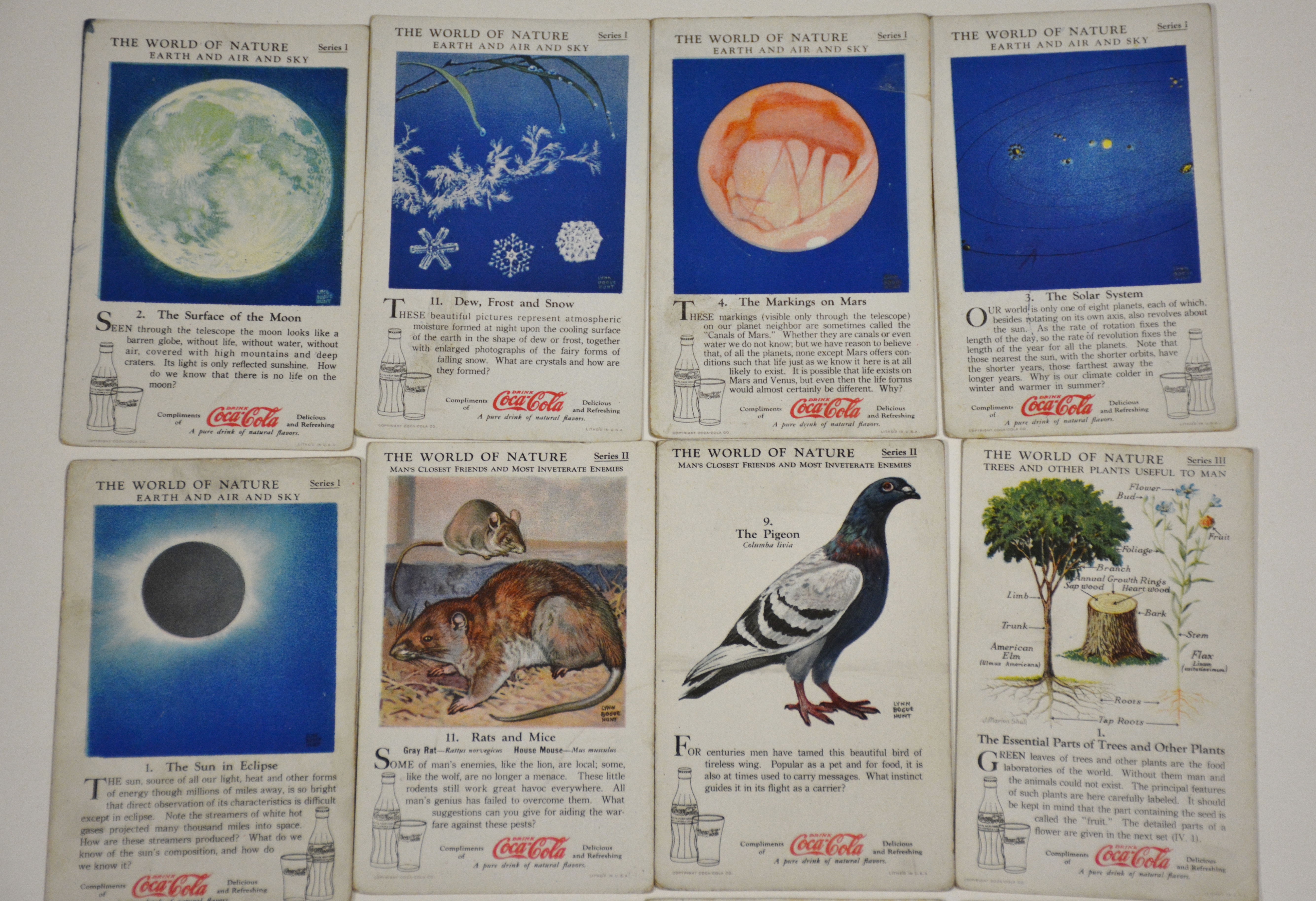 Vintage Paper Ephemera Lot 