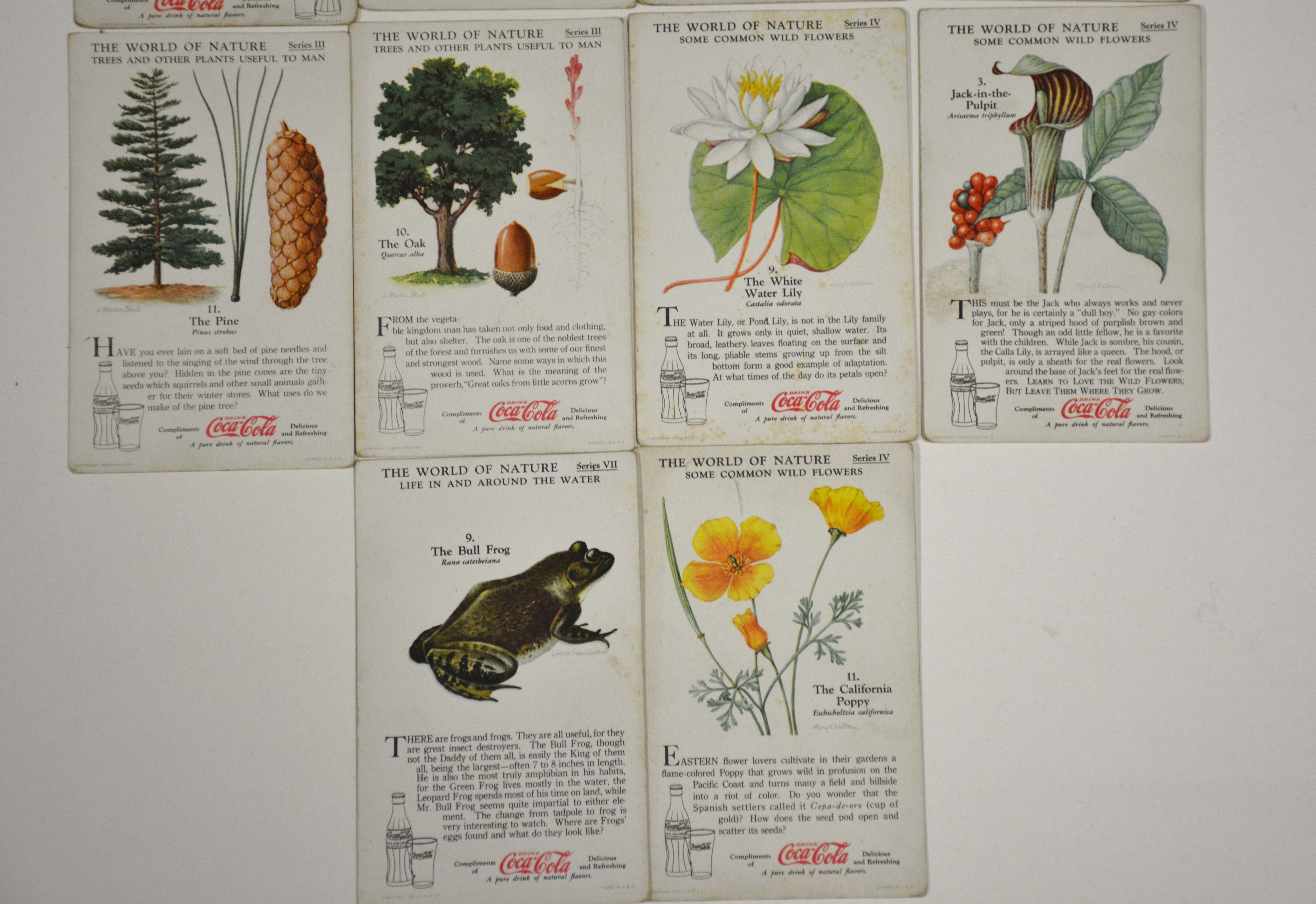 Vintage Paper Ephemera Lot 