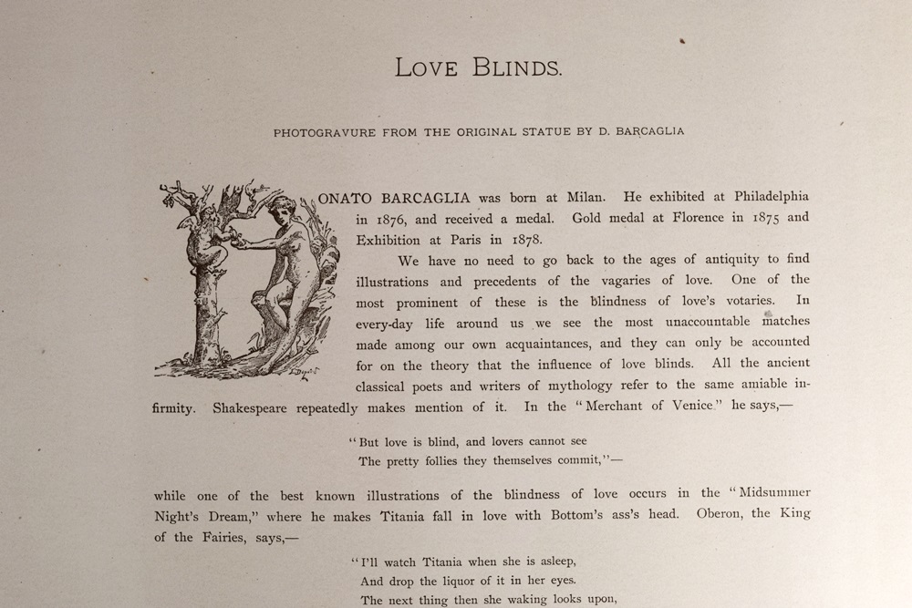 A Rare Set Comprising 10 Volumes "The Masterpieces Of Italian Art", 1886