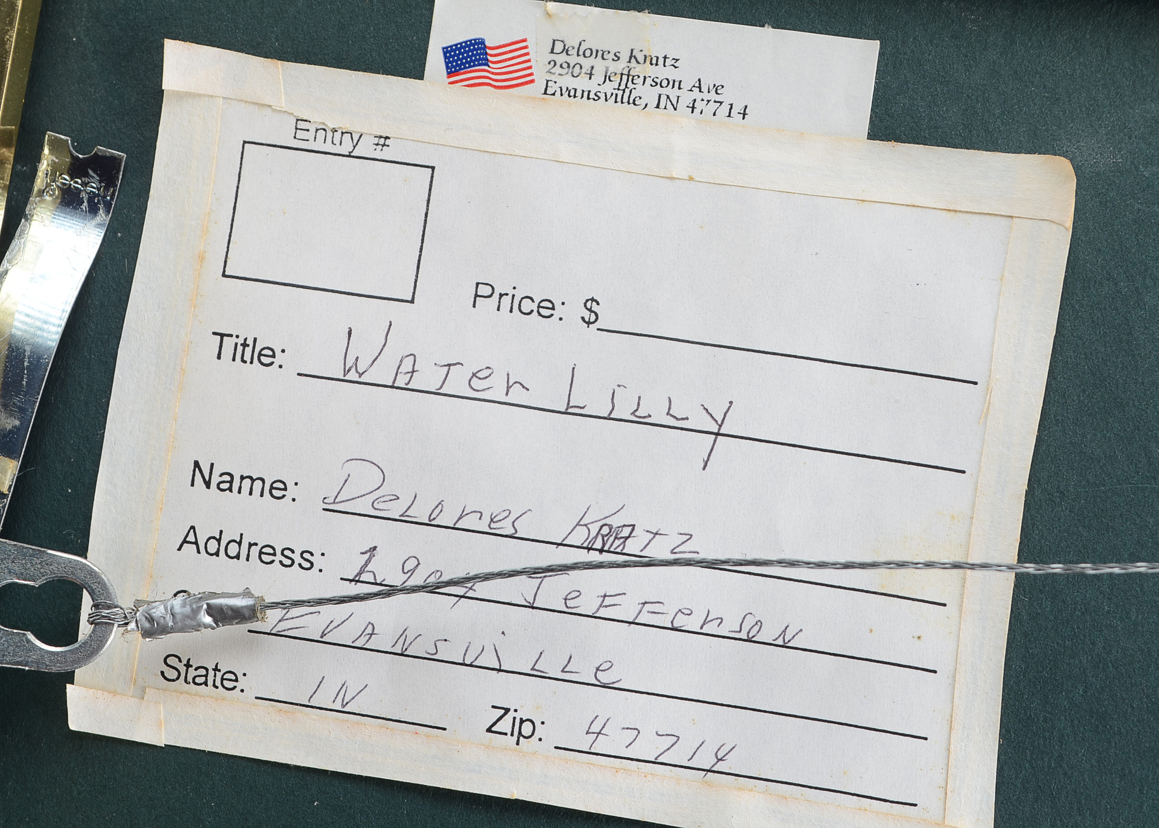 Delores Kratz Framed Photograph of Yellow Water Lily 