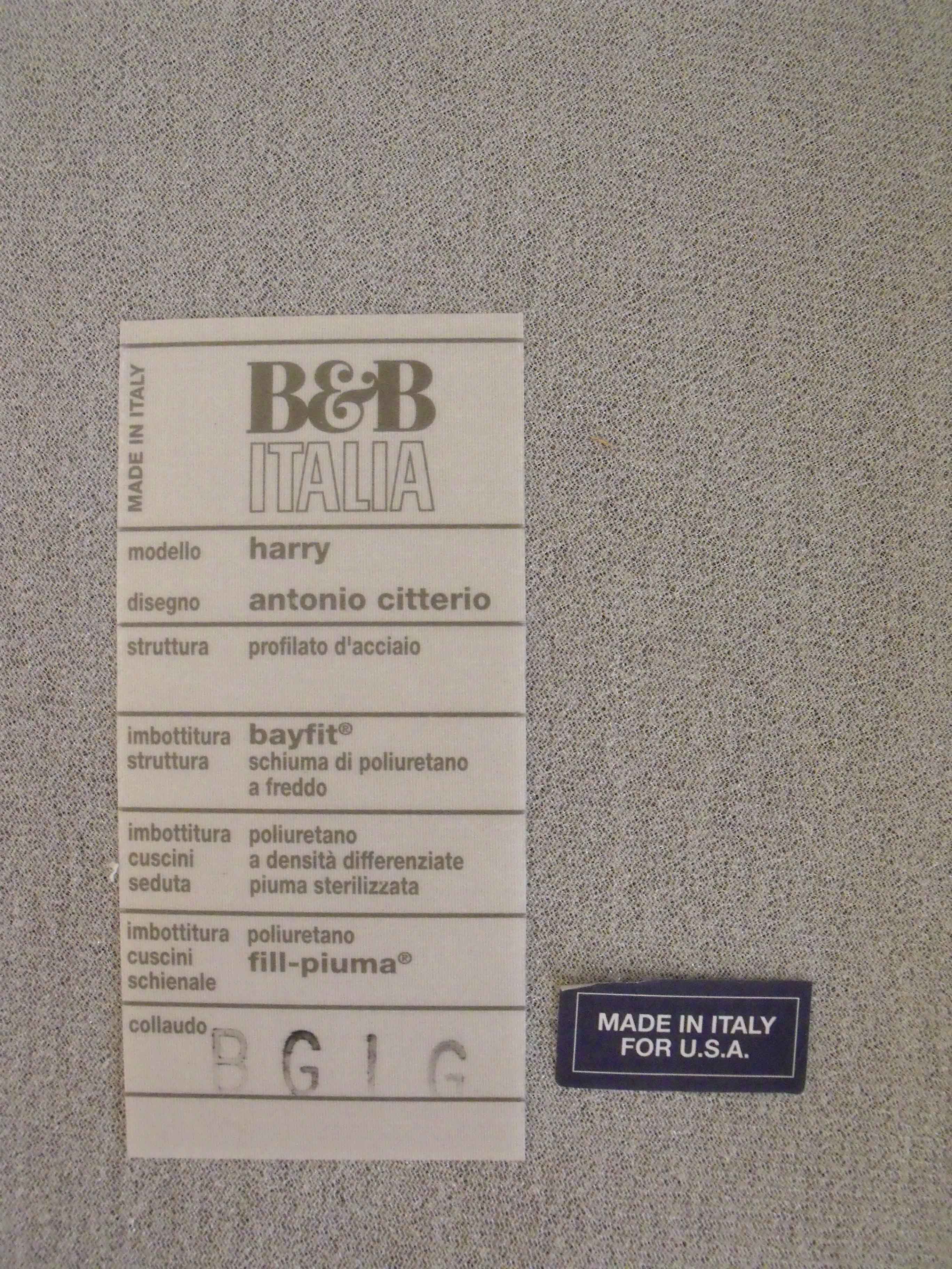 B&B Italia "Harry" Sectional Sofa Designed by Antonio Citterio