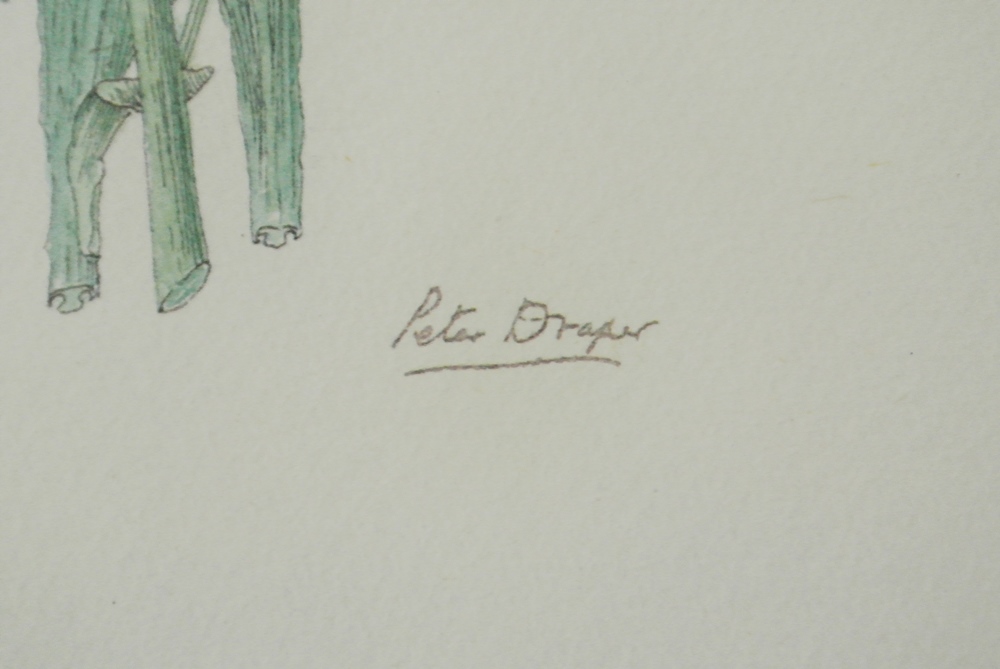 Signed Peter Draper Wildflower Prints