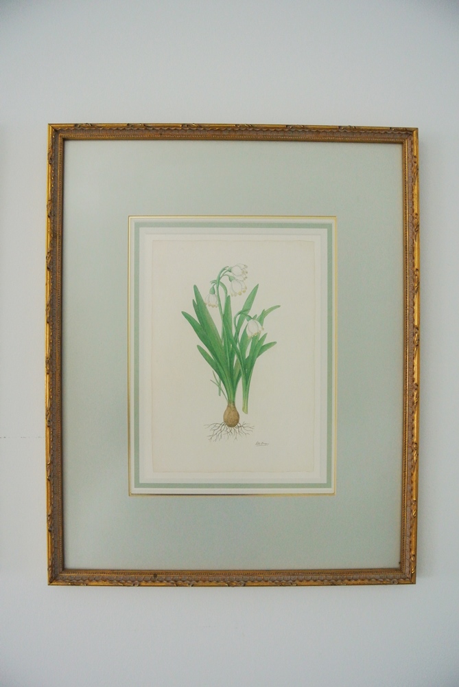 Signed Peter Draper Wildflower Prints