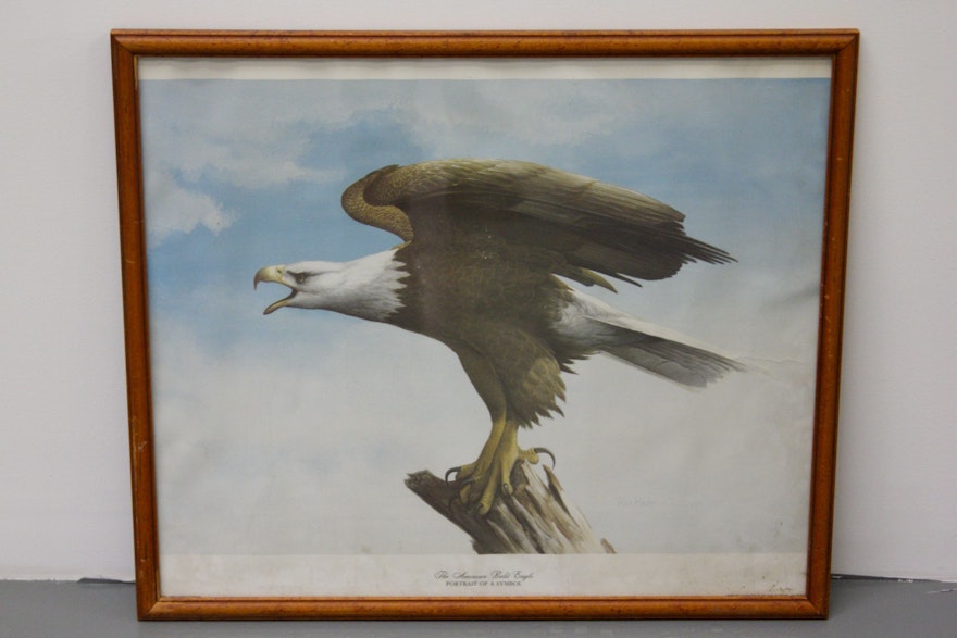 "The American Bald Eagle" Print by Ray Harm