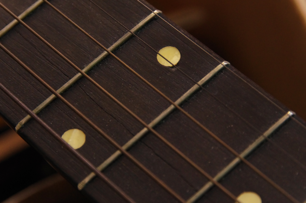 Early 20th Century Stewart Professional Acoustic Guitar with Case