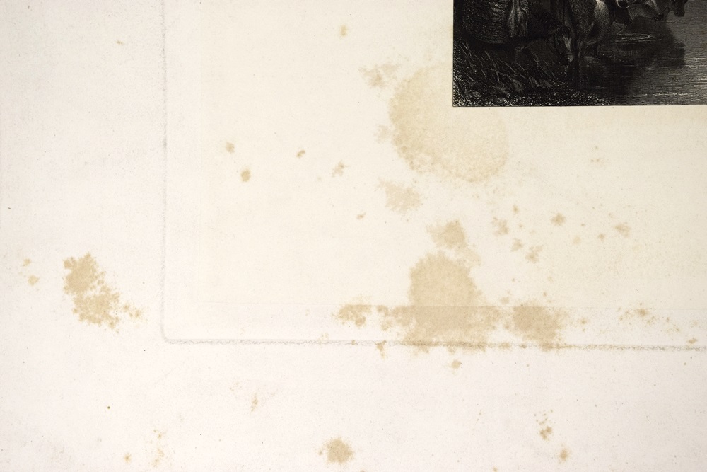 Rare "The Turner Gallery: A Series Of Sixty Engravings....", 1875