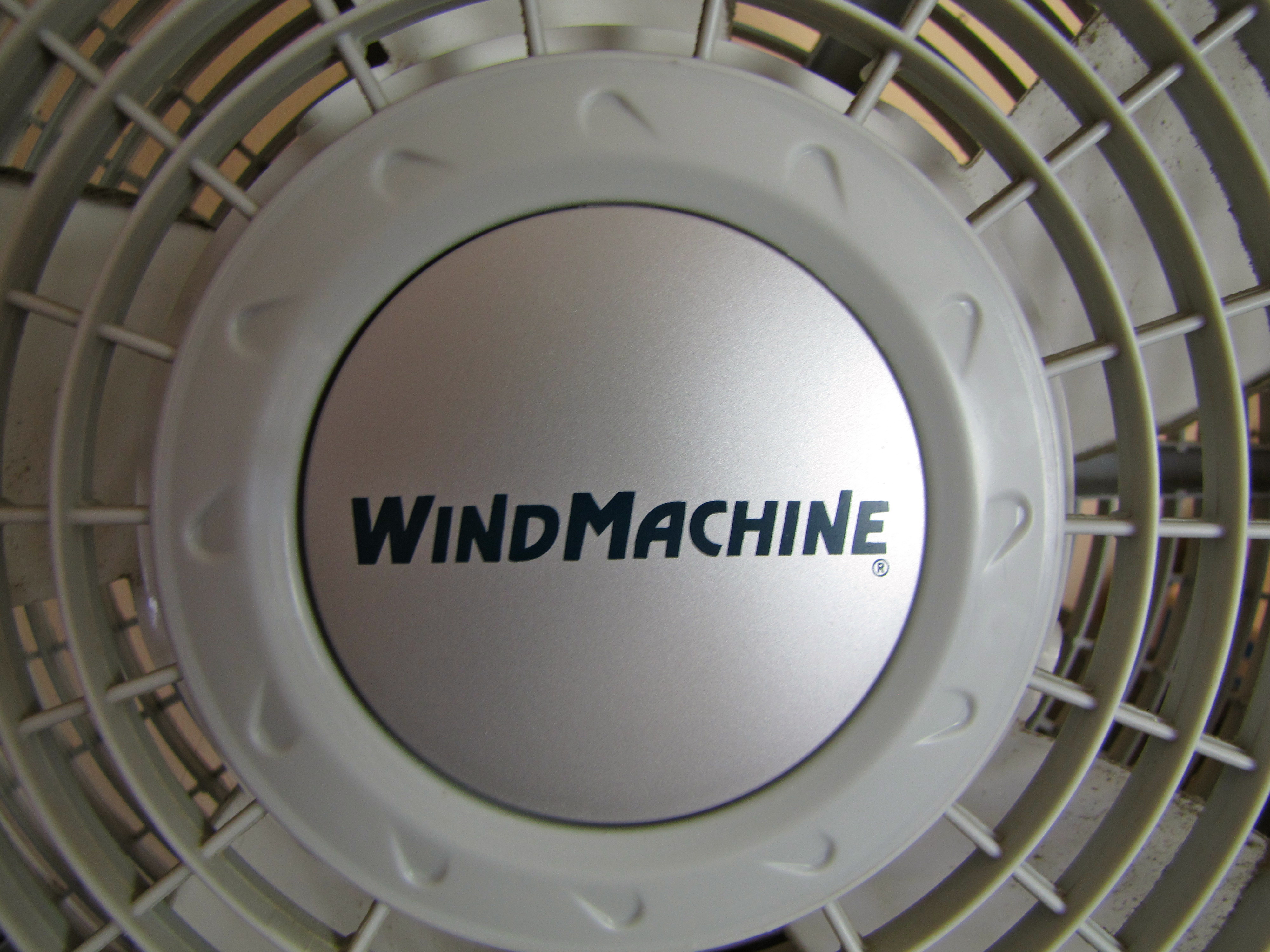 Two Adjustable Electric Fans