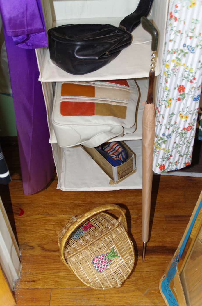 Collection of Vintage Clothing, with Closet Orgainzers