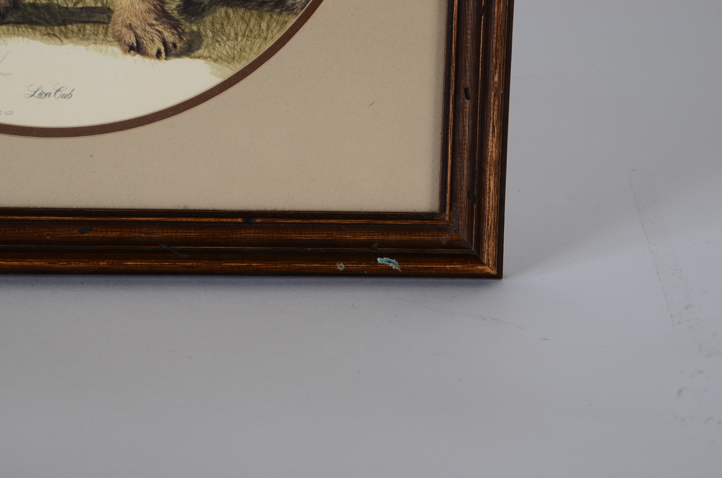 I. H. Farnsworth Signed and Numbered Animal Artwork Prints