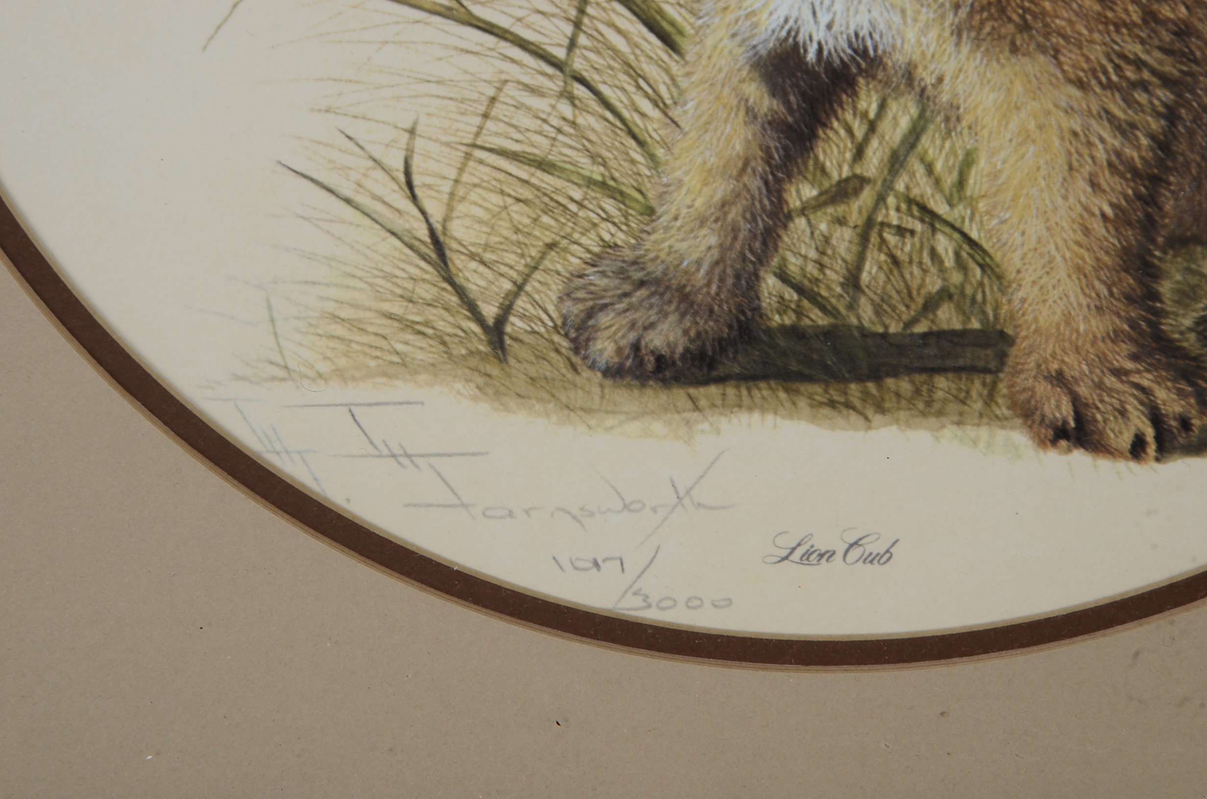 I. H. Farnsworth Signed and Numbered Animal Artwork Prints