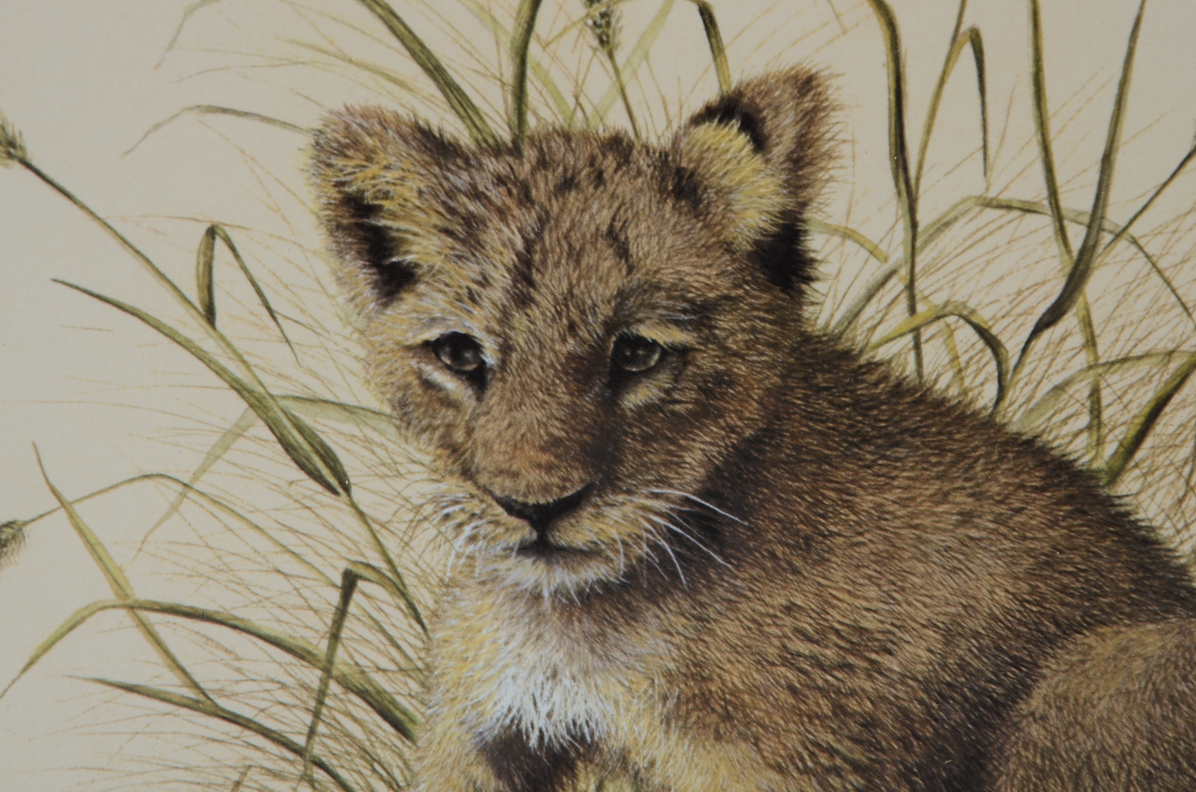 I. H. Farnsworth Signed and Numbered Animal Artwork Prints