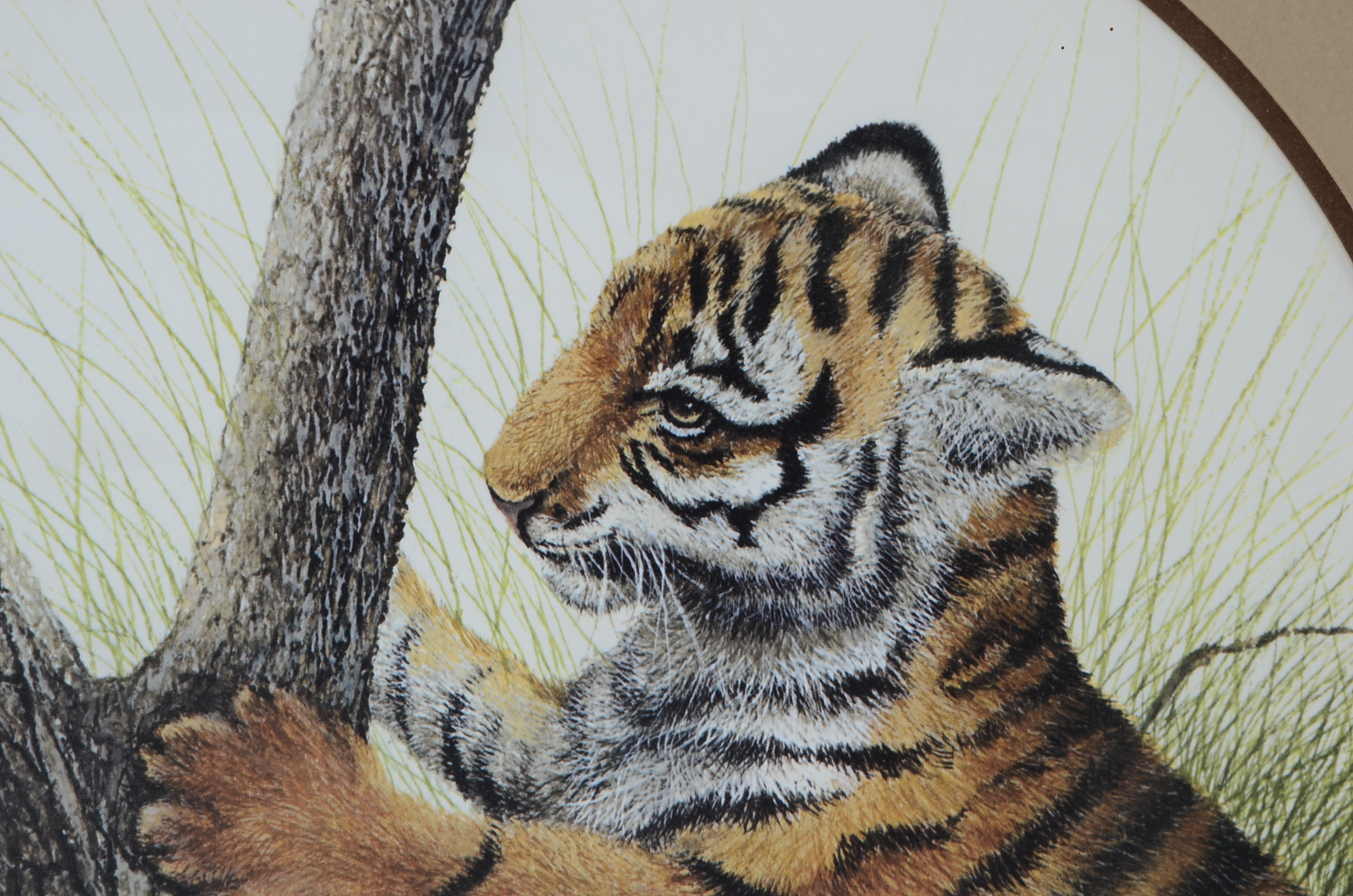 I. H. Farnsworth Signed and Numbered Animal Artwork Prints