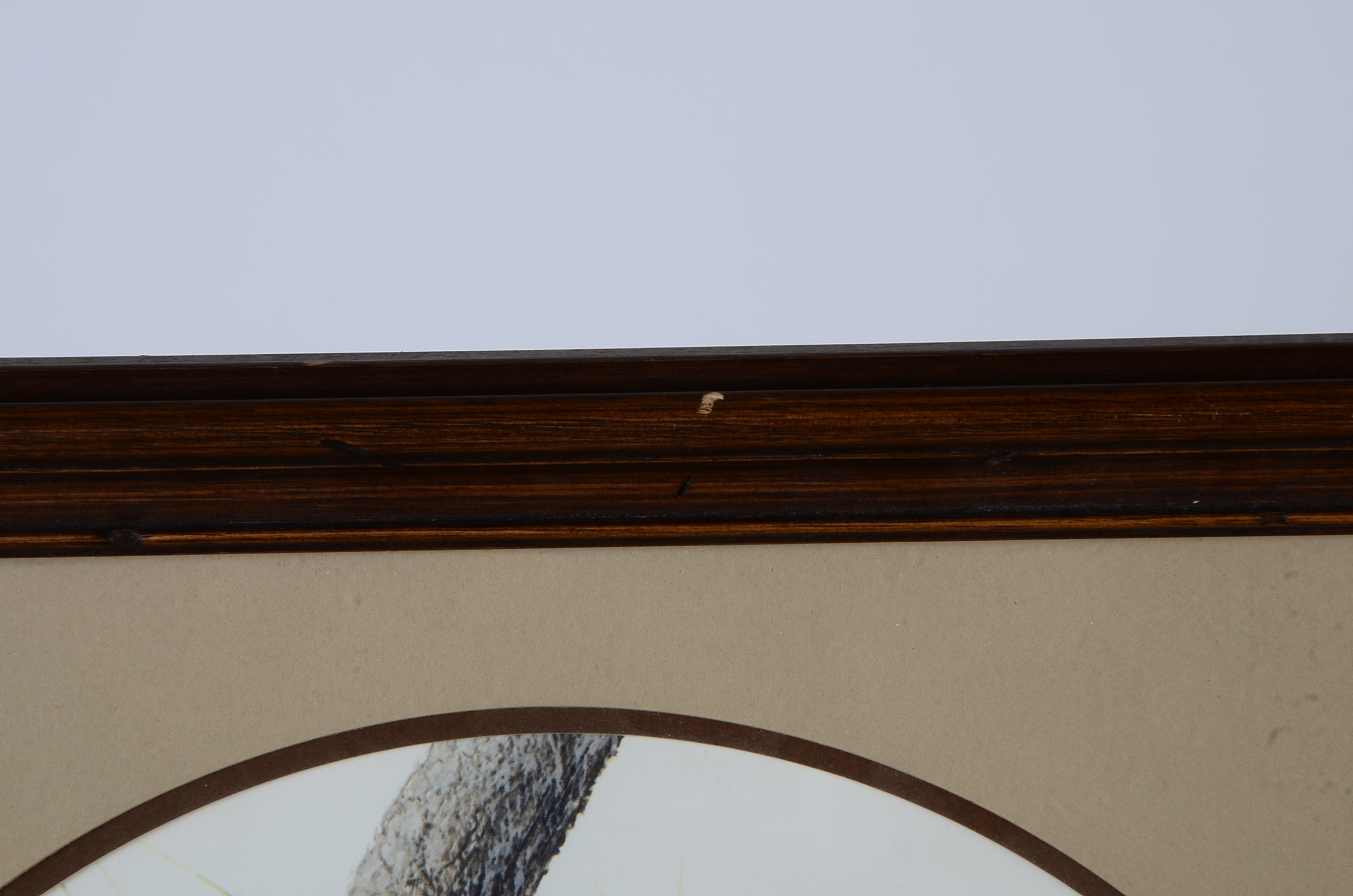 I. H. Farnsworth Signed and Numbered Animal Artwork Prints