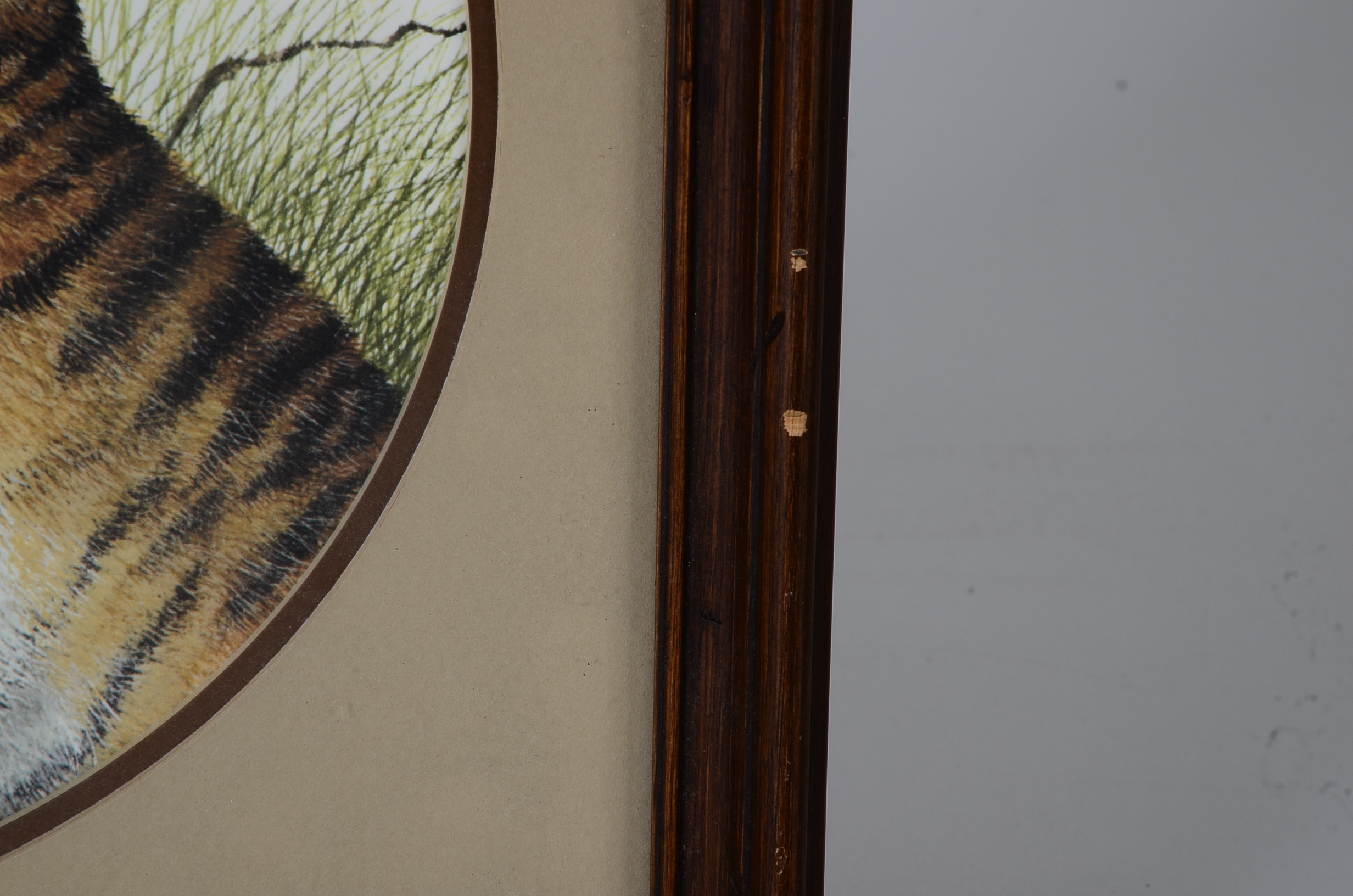 I. H. Farnsworth Signed and Numbered Animal Artwork Prints