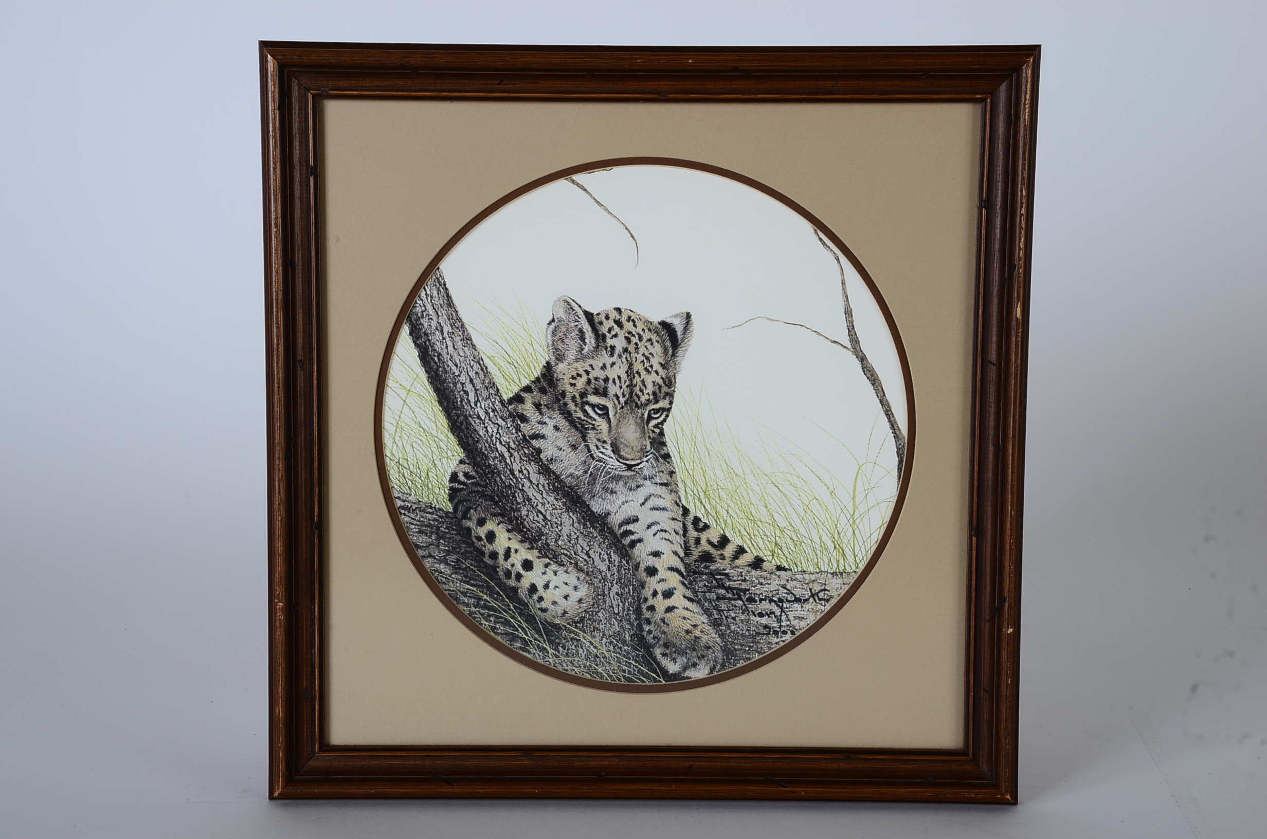 I. H. Farnsworth Signed and Numbered Animal Artwork Prints