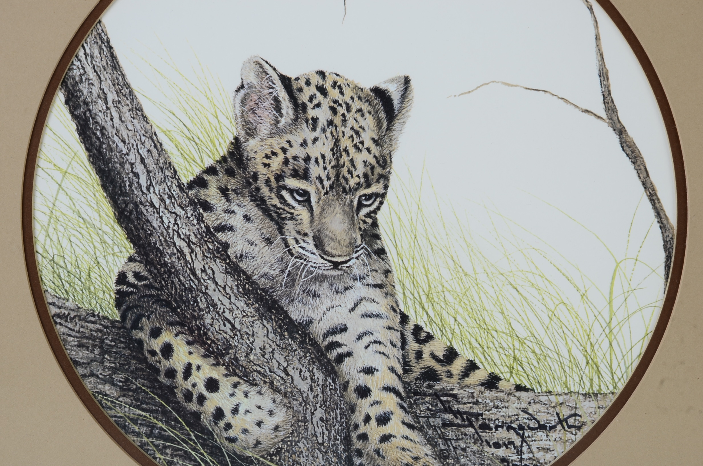 I. H. Farnsworth Signed and Numbered Animal Artwork Prints