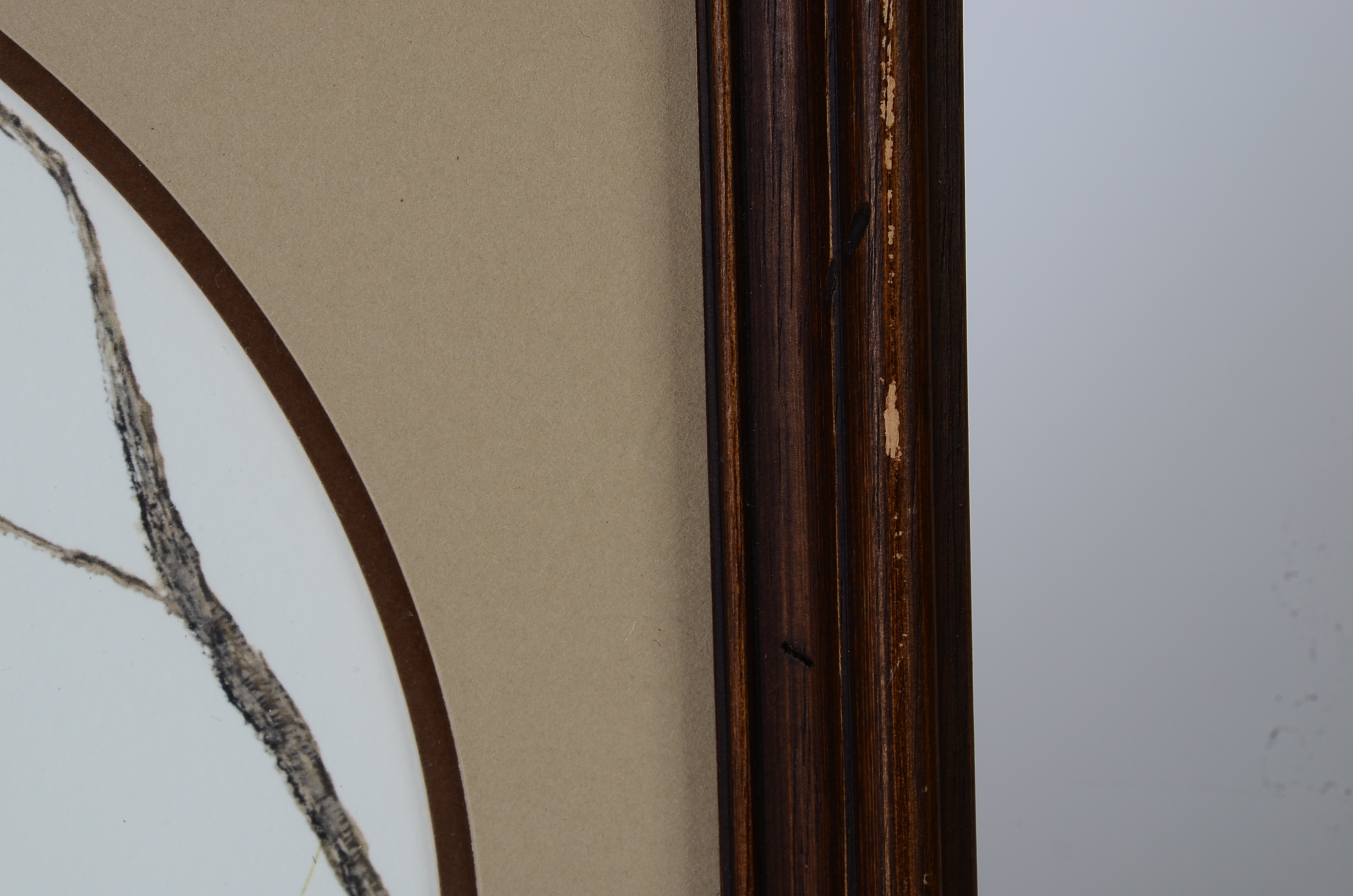 I. H. Farnsworth Signed and Numbered Animal Artwork Prints