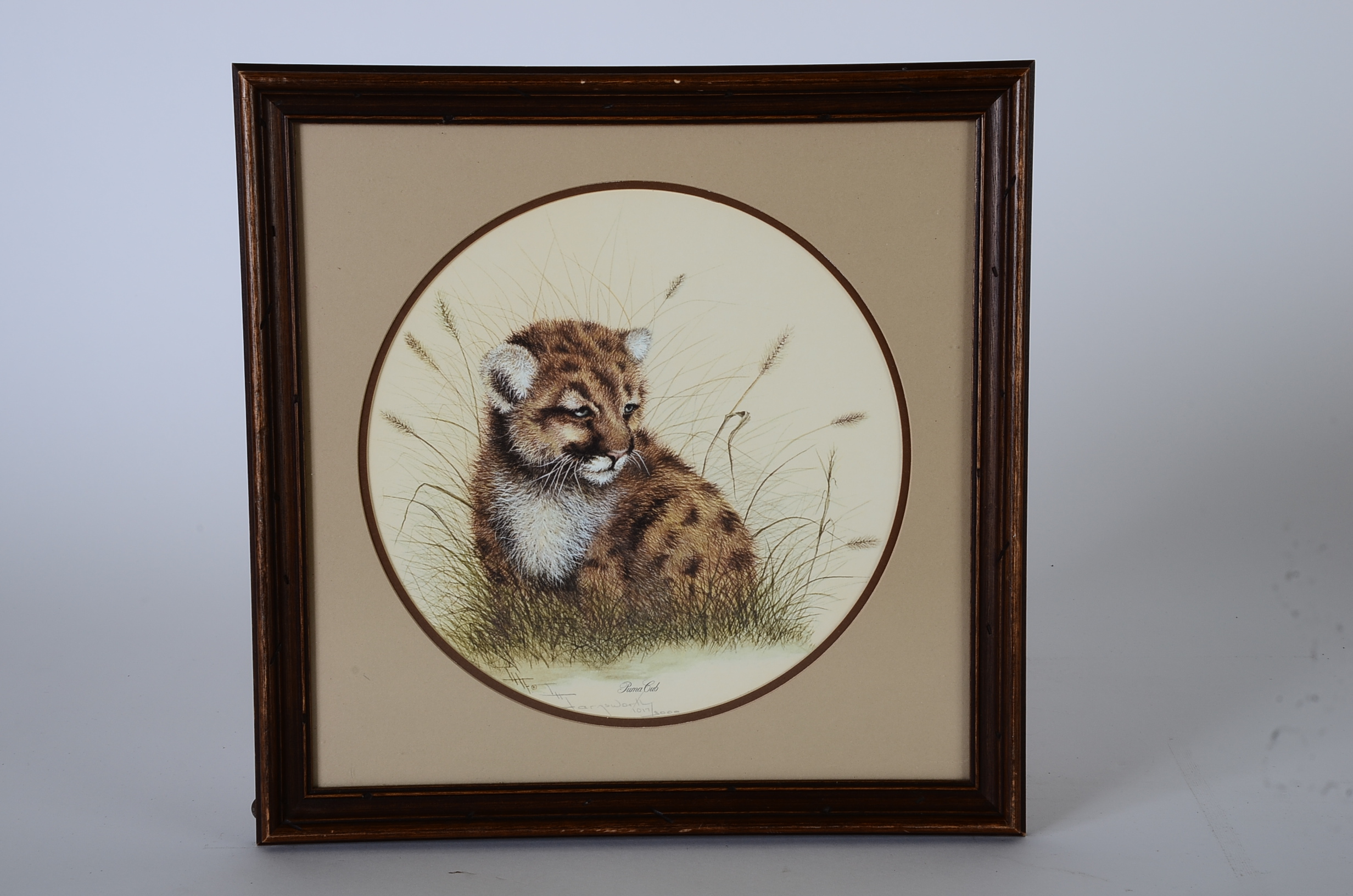 I. H. Farnsworth Signed and Numbered Animal Artwork Prints