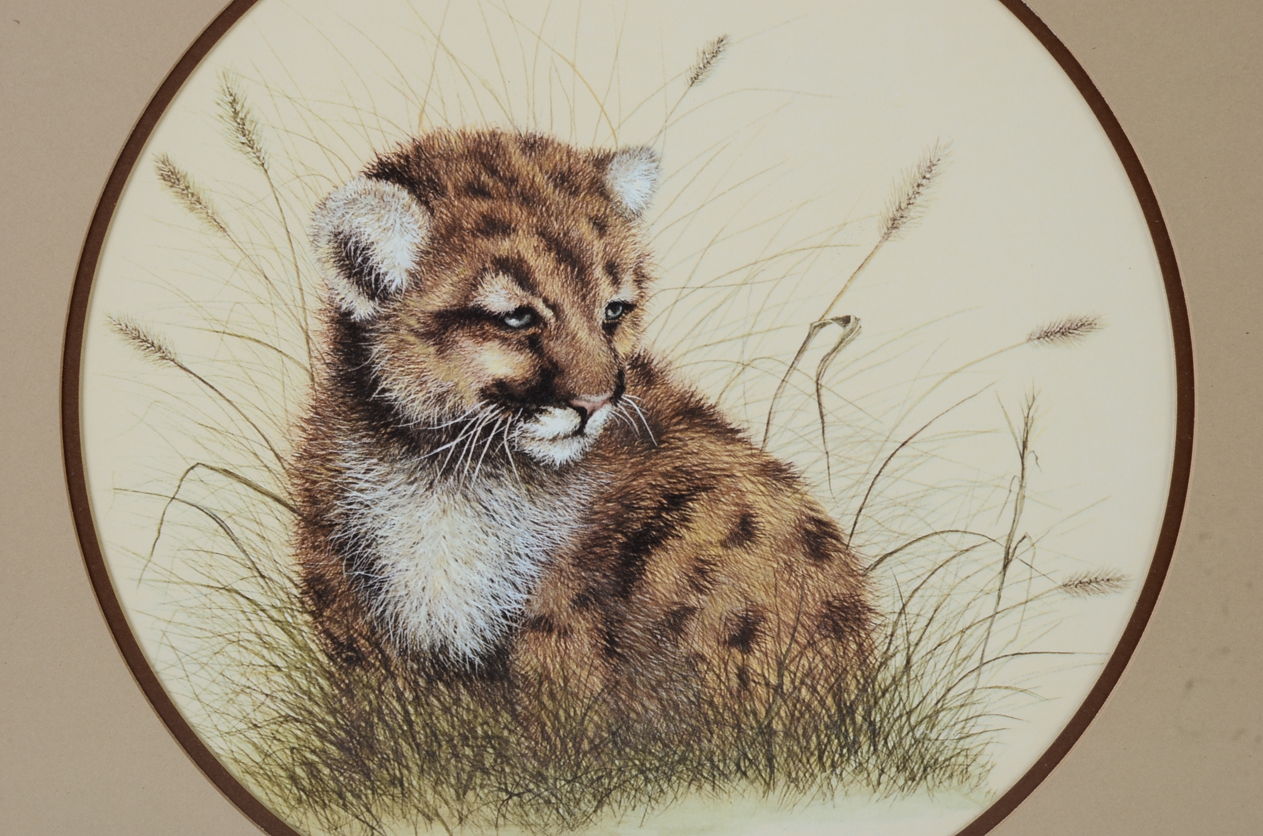 I. H. Farnsworth Signed and Numbered Animal Artwork Prints