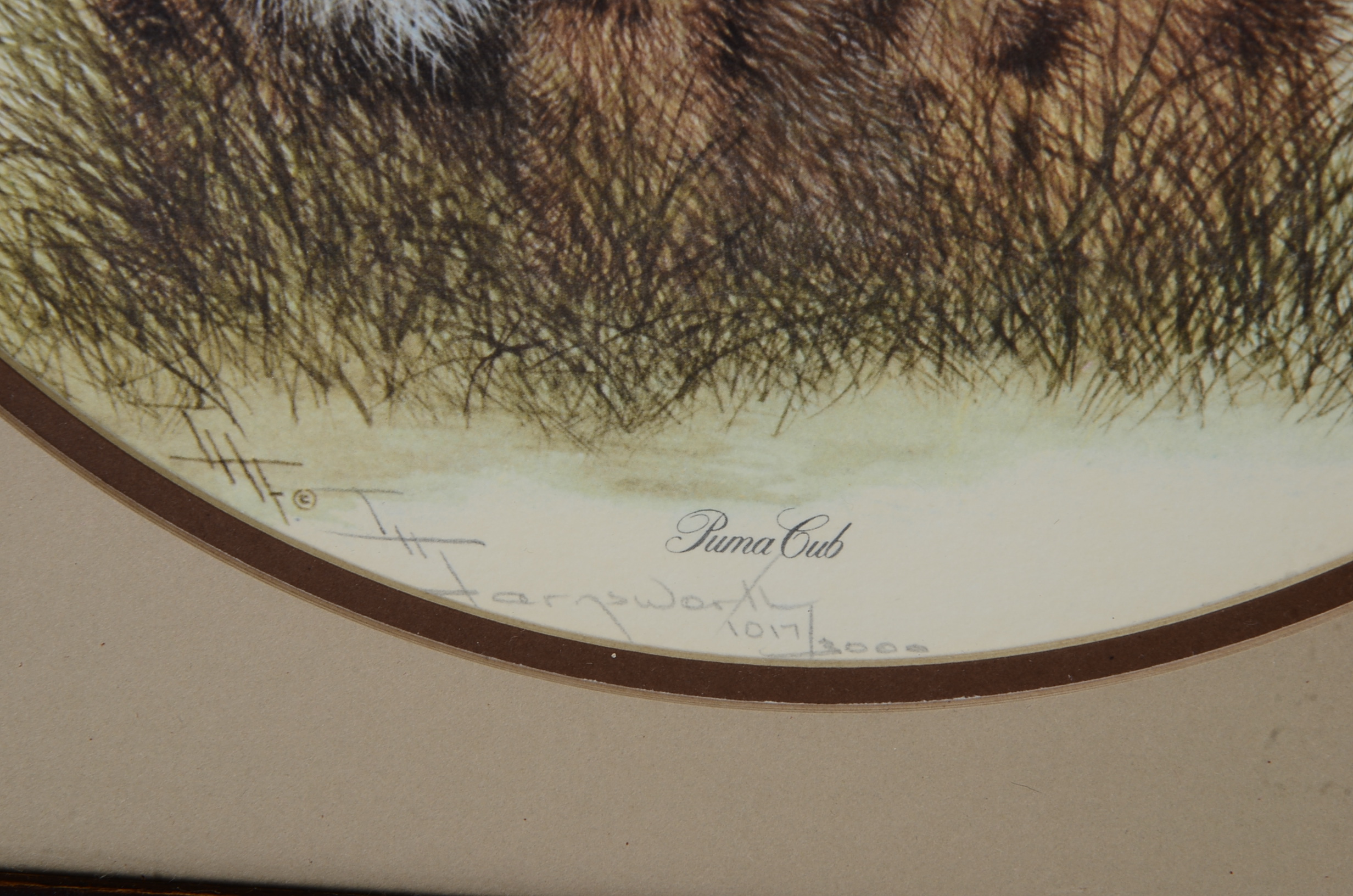 I. H. Farnsworth Signed and Numbered Animal Artwork Prints