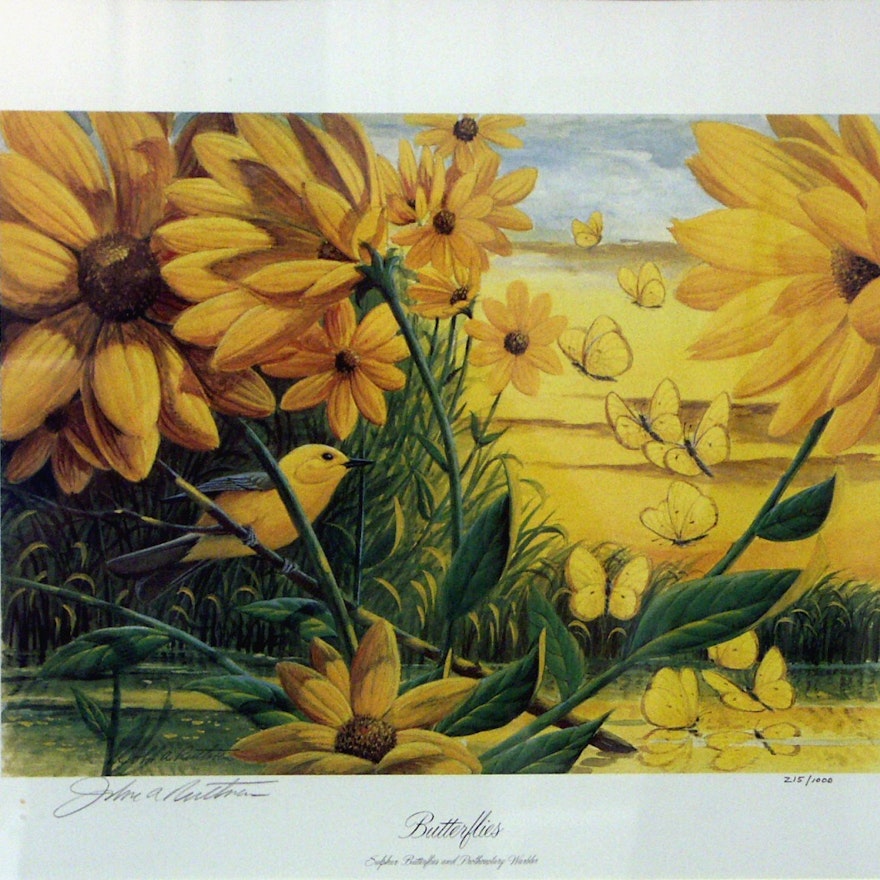 John Ruthven "Butterflies" Framed Print