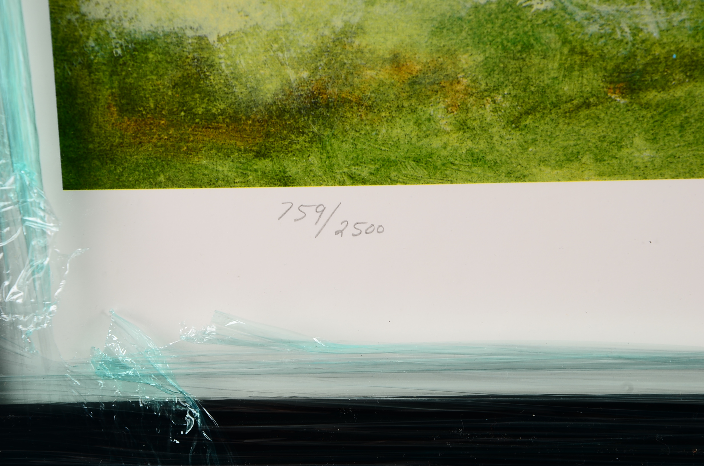 Lithograph of Major League Baseball's Greatest Players