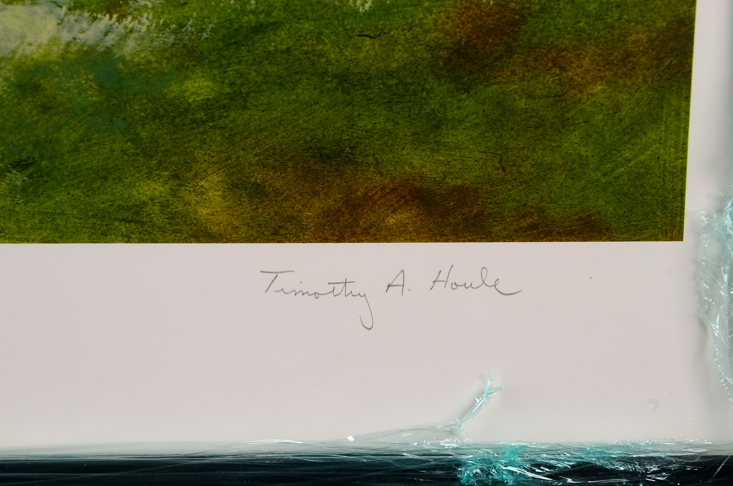 Lithograph of Major League Baseball's Greatest Players