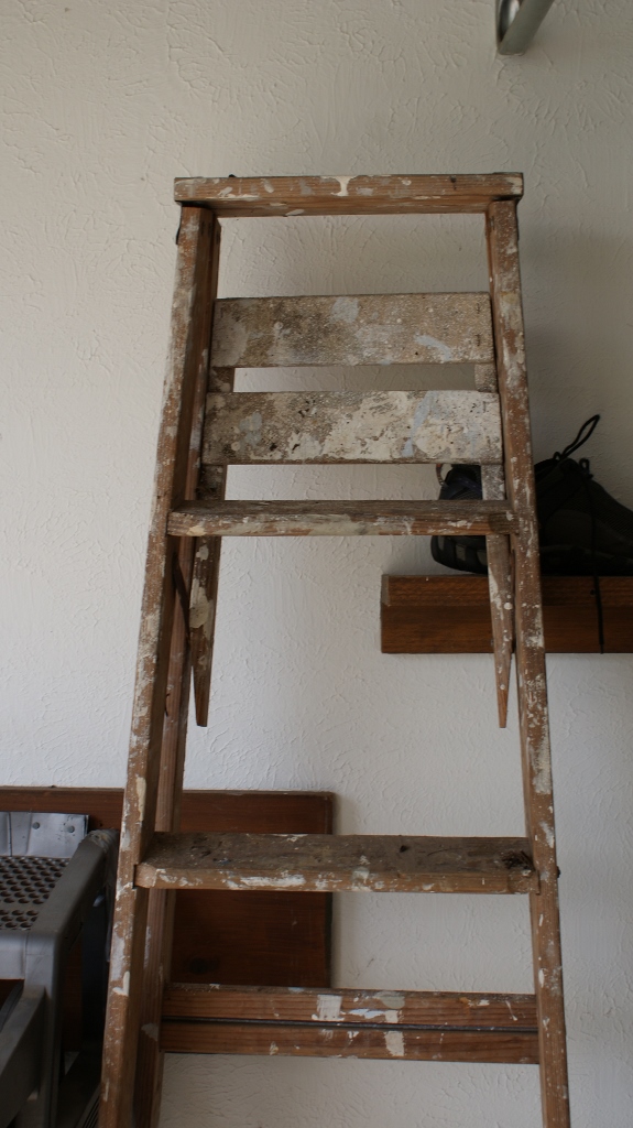 Werner Multi Master Ladder and 6' Wood Ladder