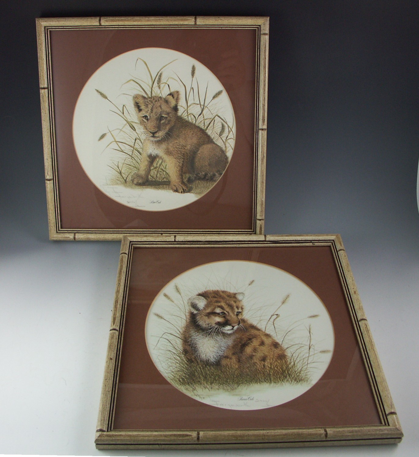 I. H. Farnsworth Signed and Numbered Animal Artwork Prints