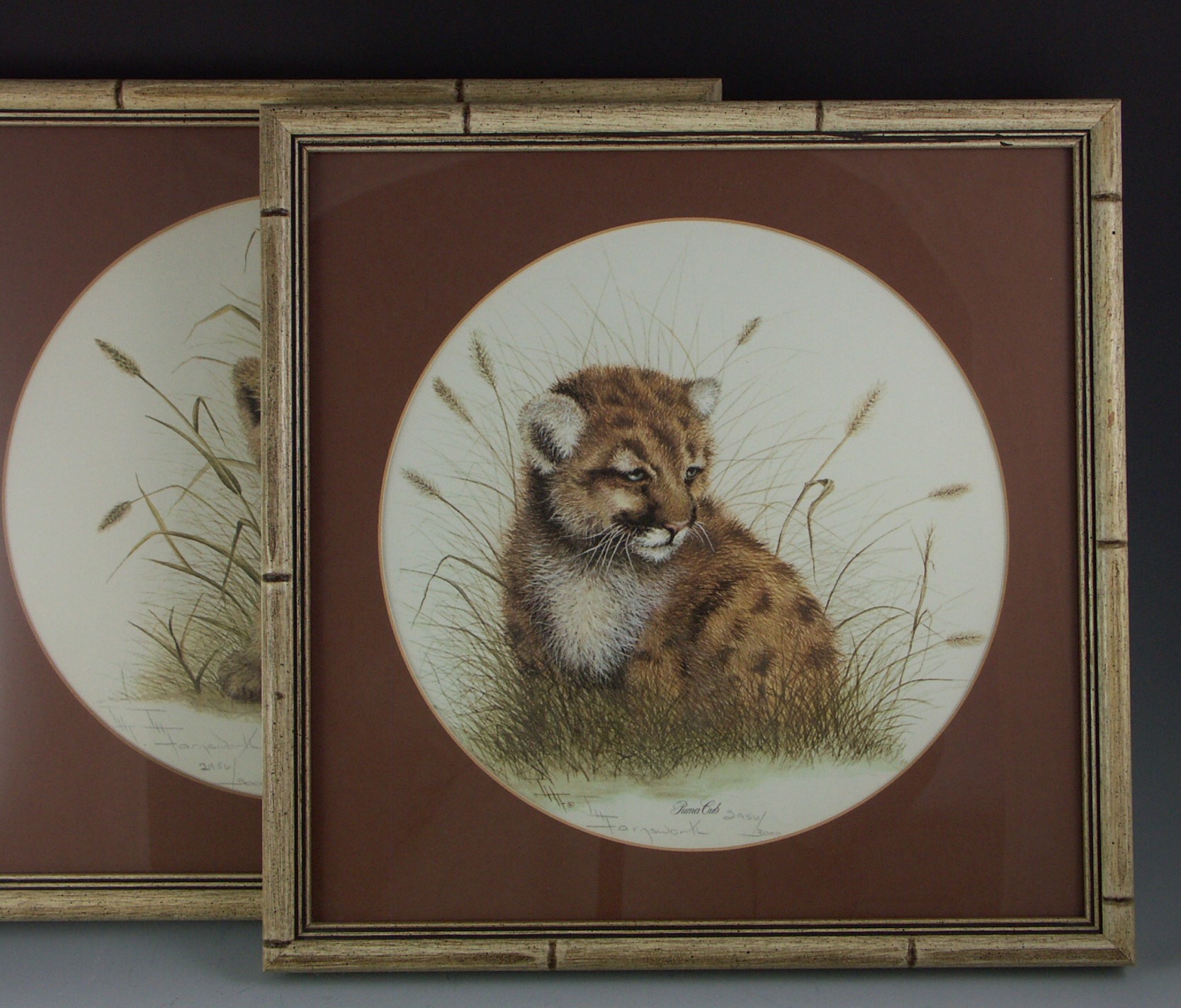 I. H. Farnsworth Signed and Numbered Animal Artwork Prints