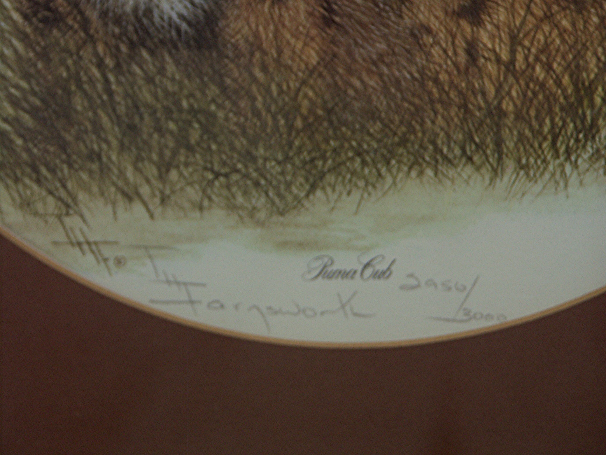 I. H. Farnsworth Signed and Numbered Animal Artwork Prints