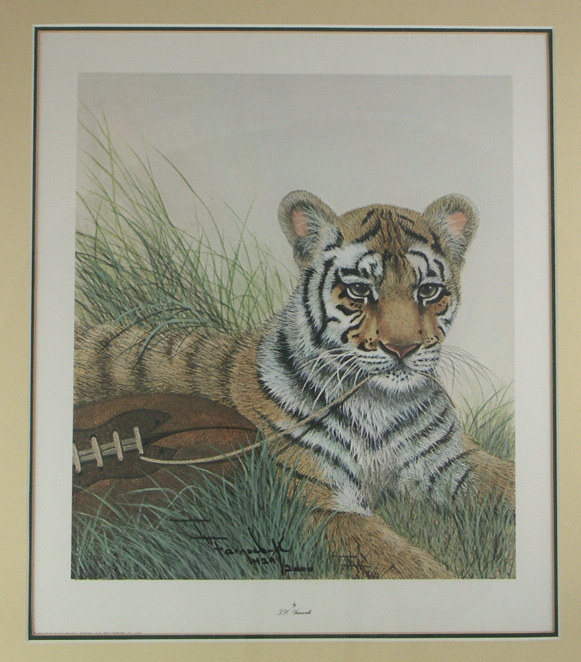 I.H. Farnsworth Framed Bengal Tiger Cub L/E Print