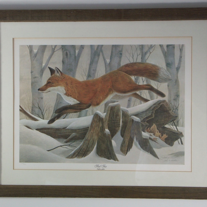 Signed John Ruthven 'Red Fox' Print