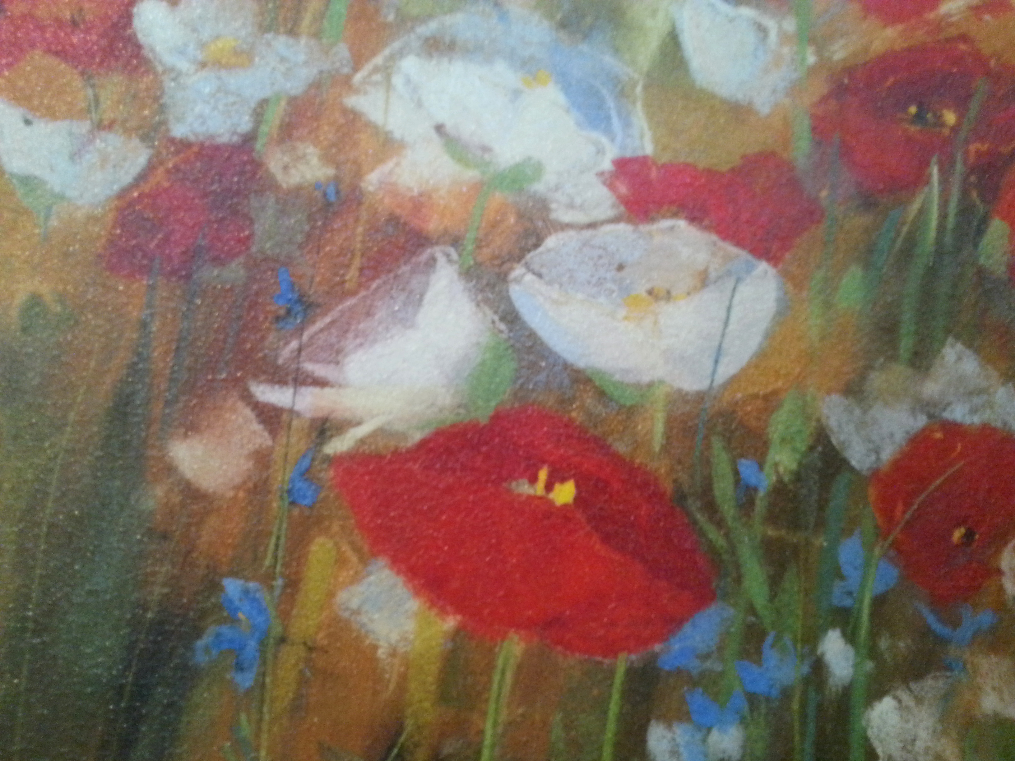 Framed Carol Rowan "Poppies and Larkspur I" Art Print