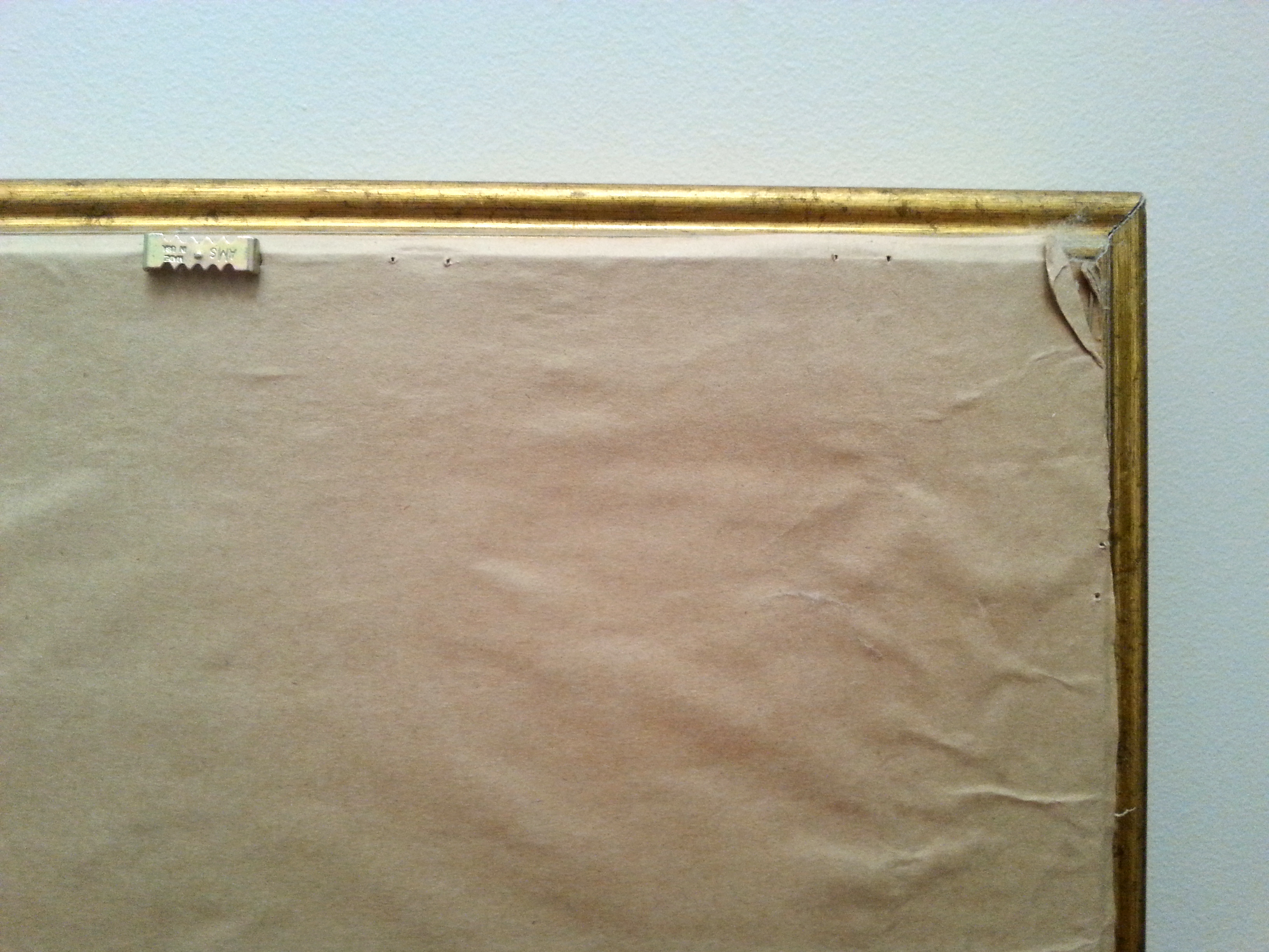 Framed Carol Rowan "Poppies and Larkspur I" Art Print