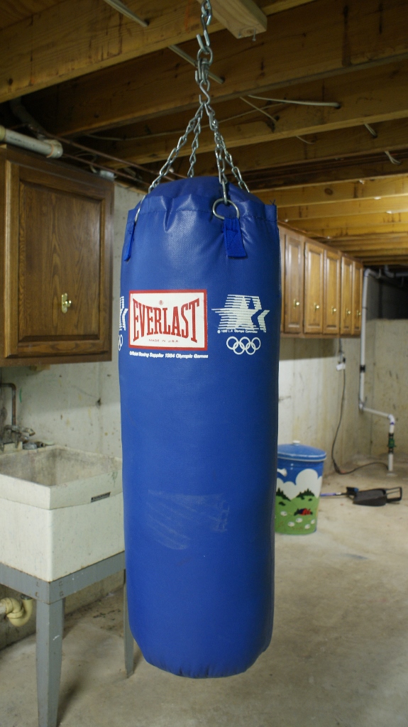 50-Pound Everlast Punching Bag