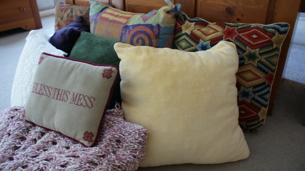 Decorative Pillows Lot
