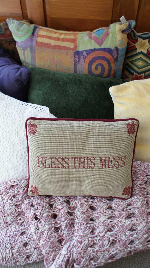 Decorative Pillows Lot