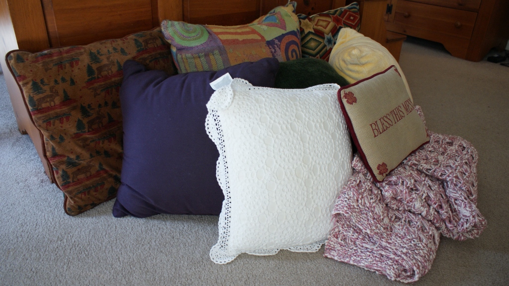 Decorative Pillows Lot
