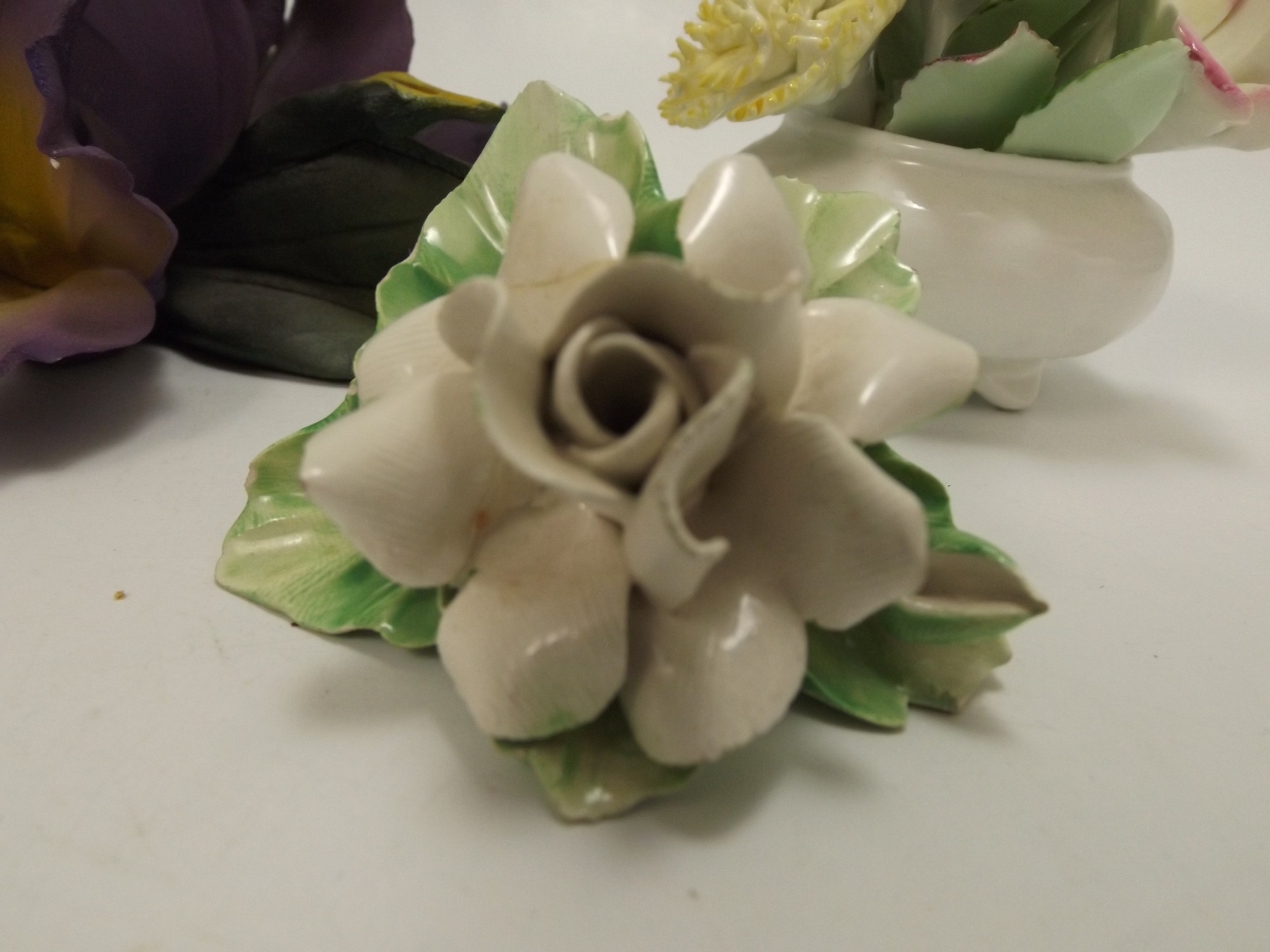 English and Italian Bone China and Porcelain Flowers