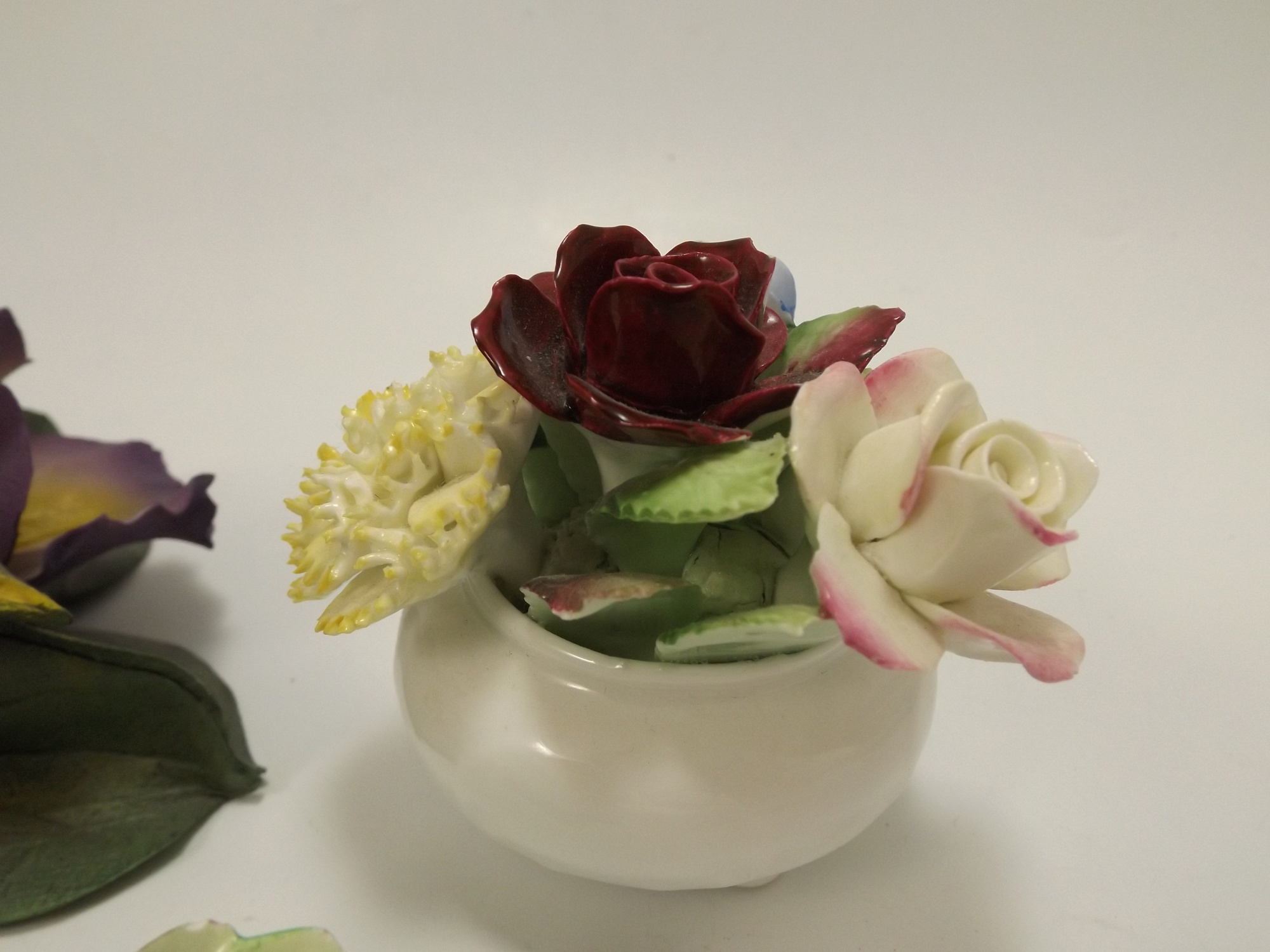 English and Italian Bone China and Porcelain Flowers