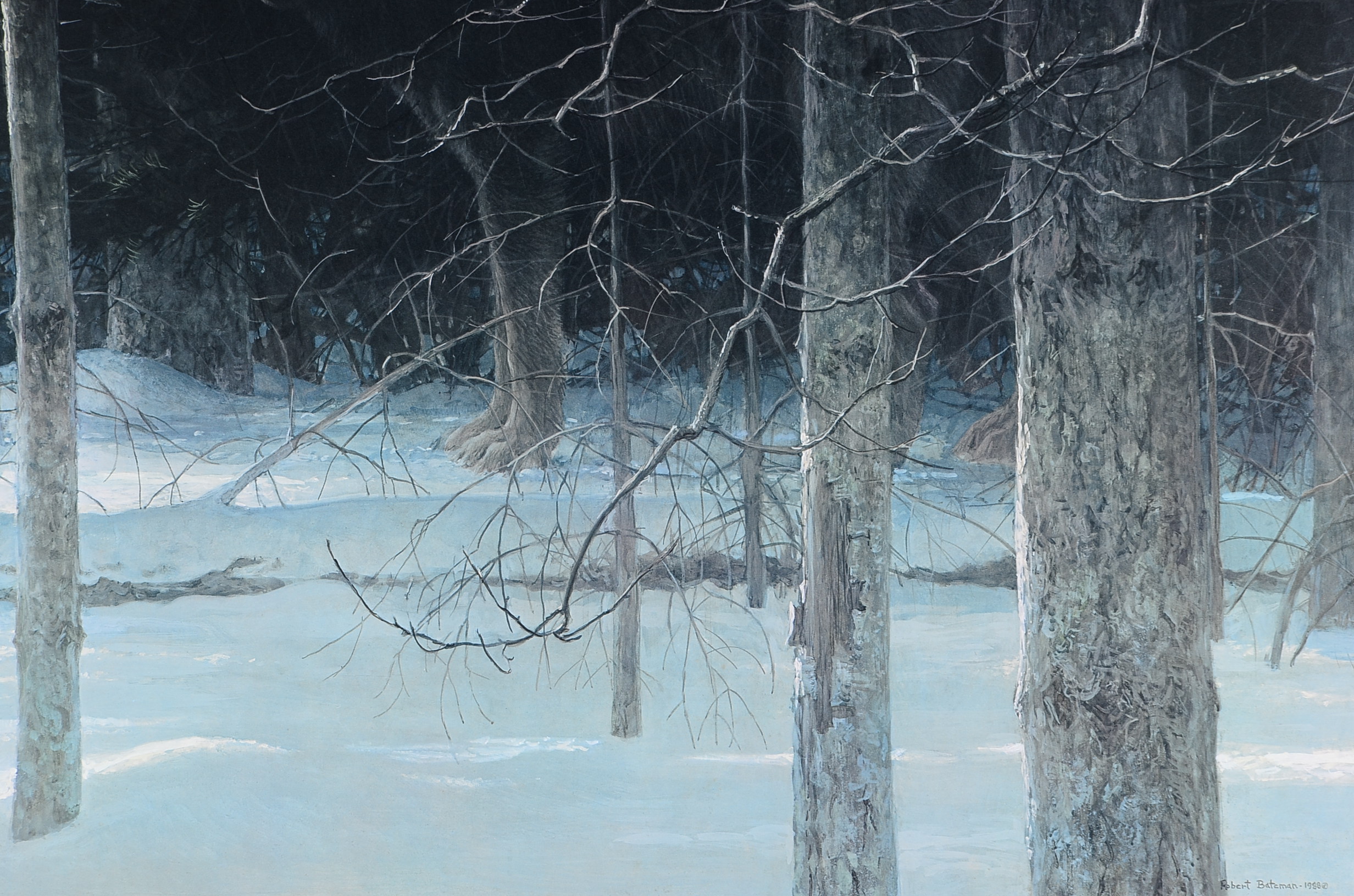 Signed Robert Bateman Framed "Midnight - Black Wolf" Print